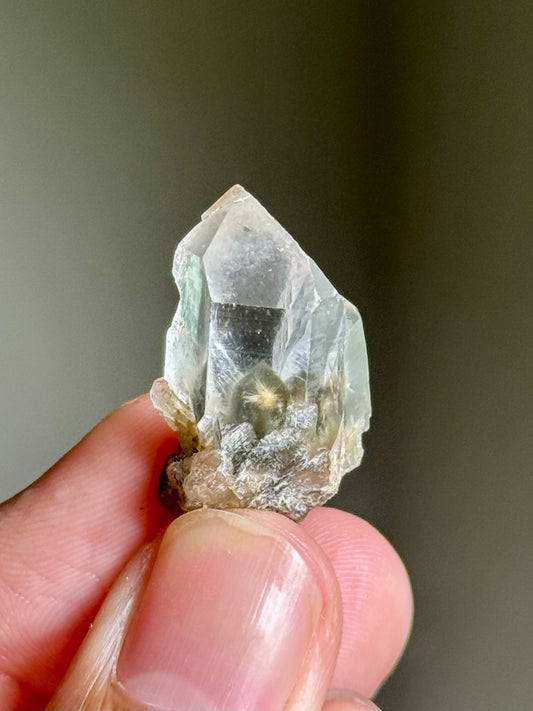 Dandelion Rutile in Quartz