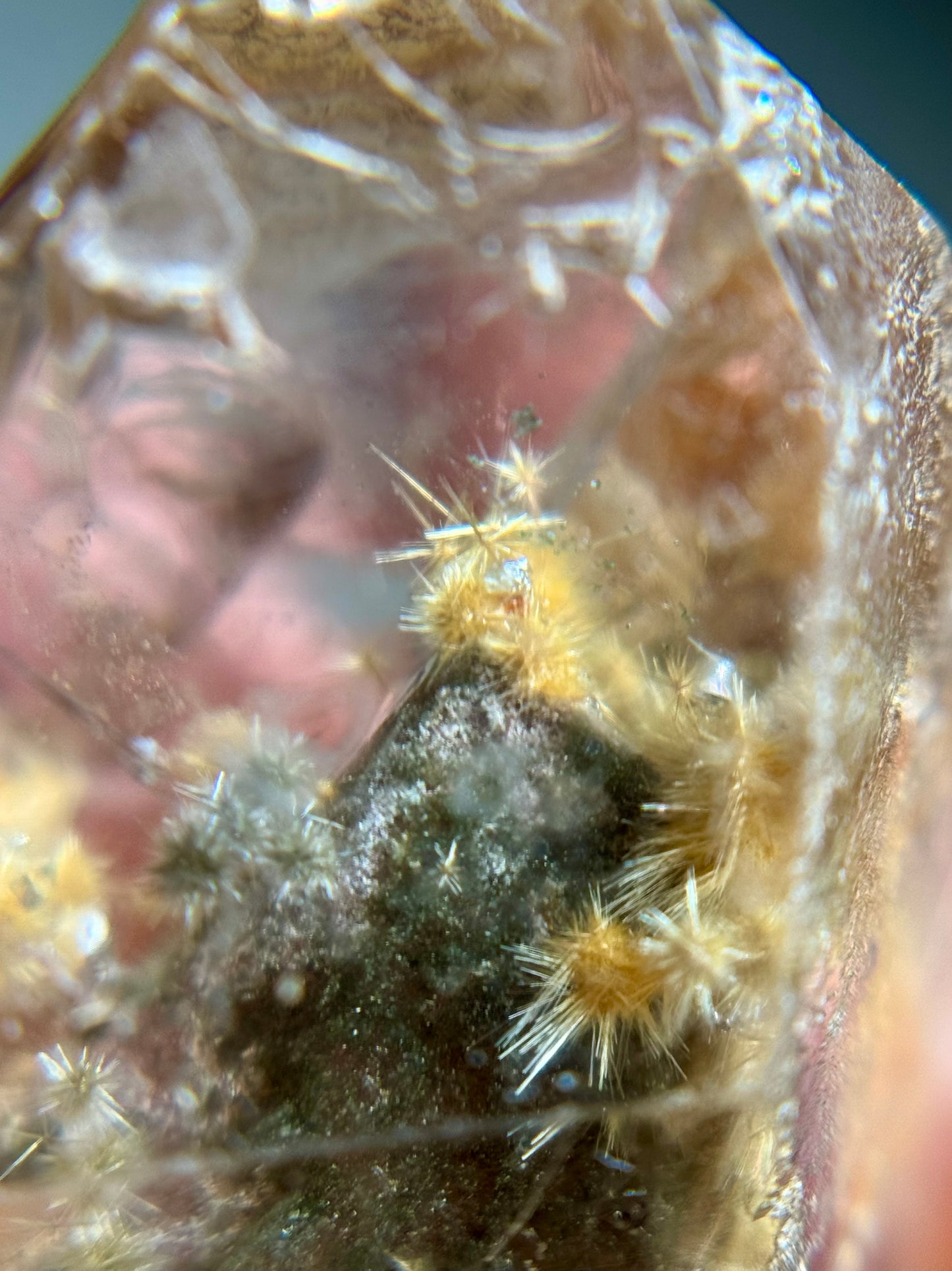 Dandelion Rutile in Quartz