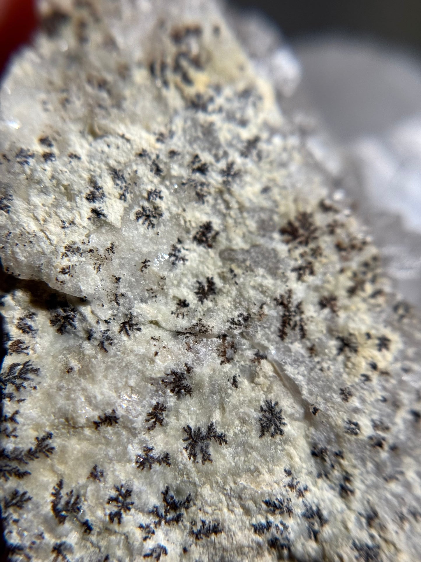 Fluorite & Calcite w/Dendrites