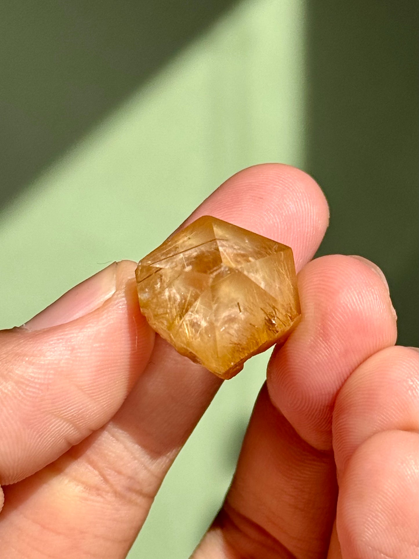 Semi-Polished Himalayan Quartz with Rutile