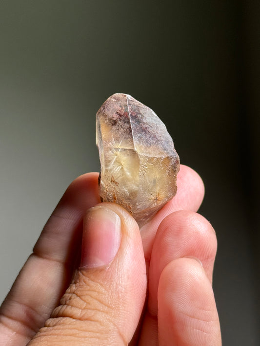 Dandelion Rutile in Quartz