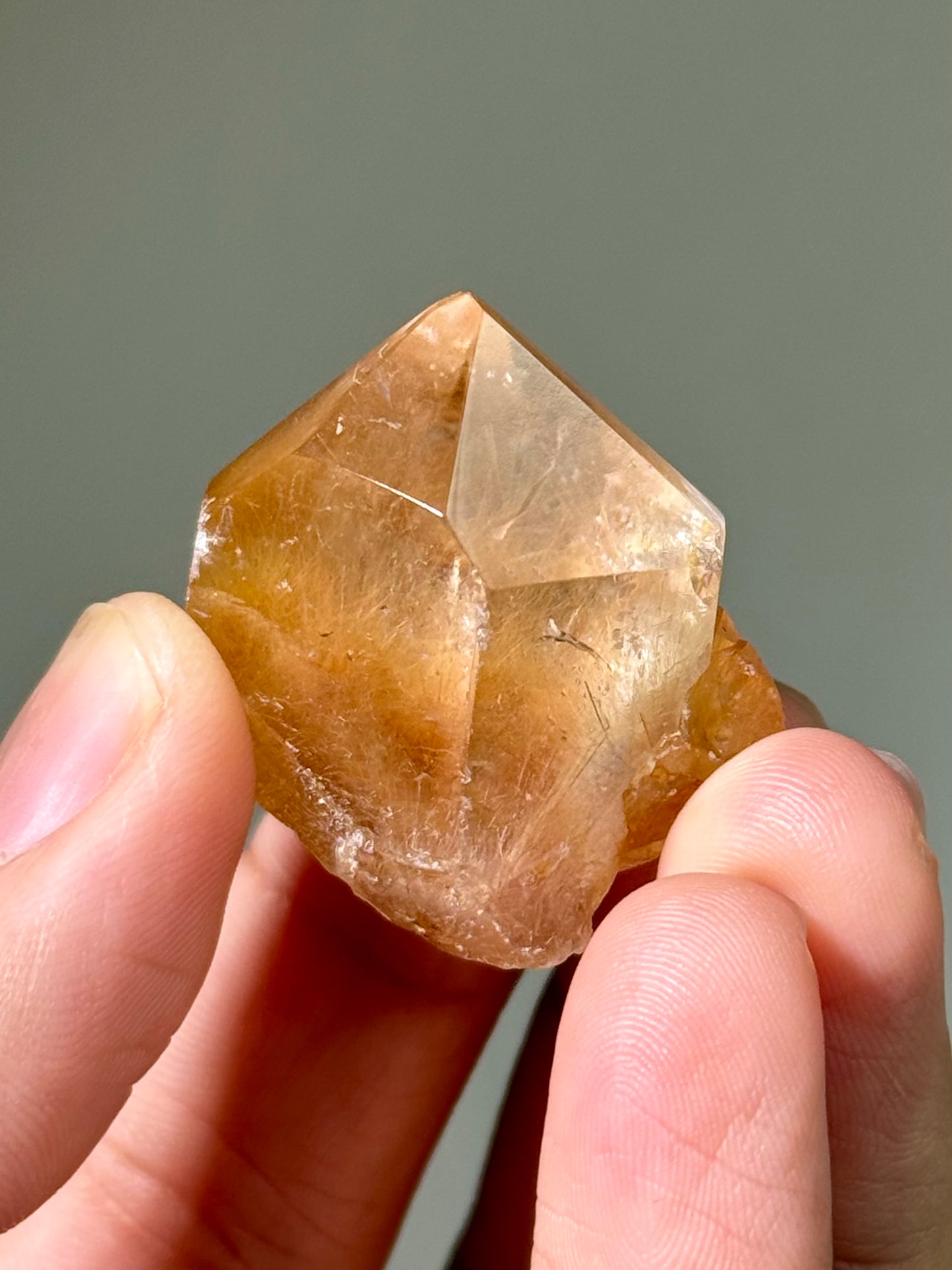 Semi-Polished Himalayan Quartz with Rutile