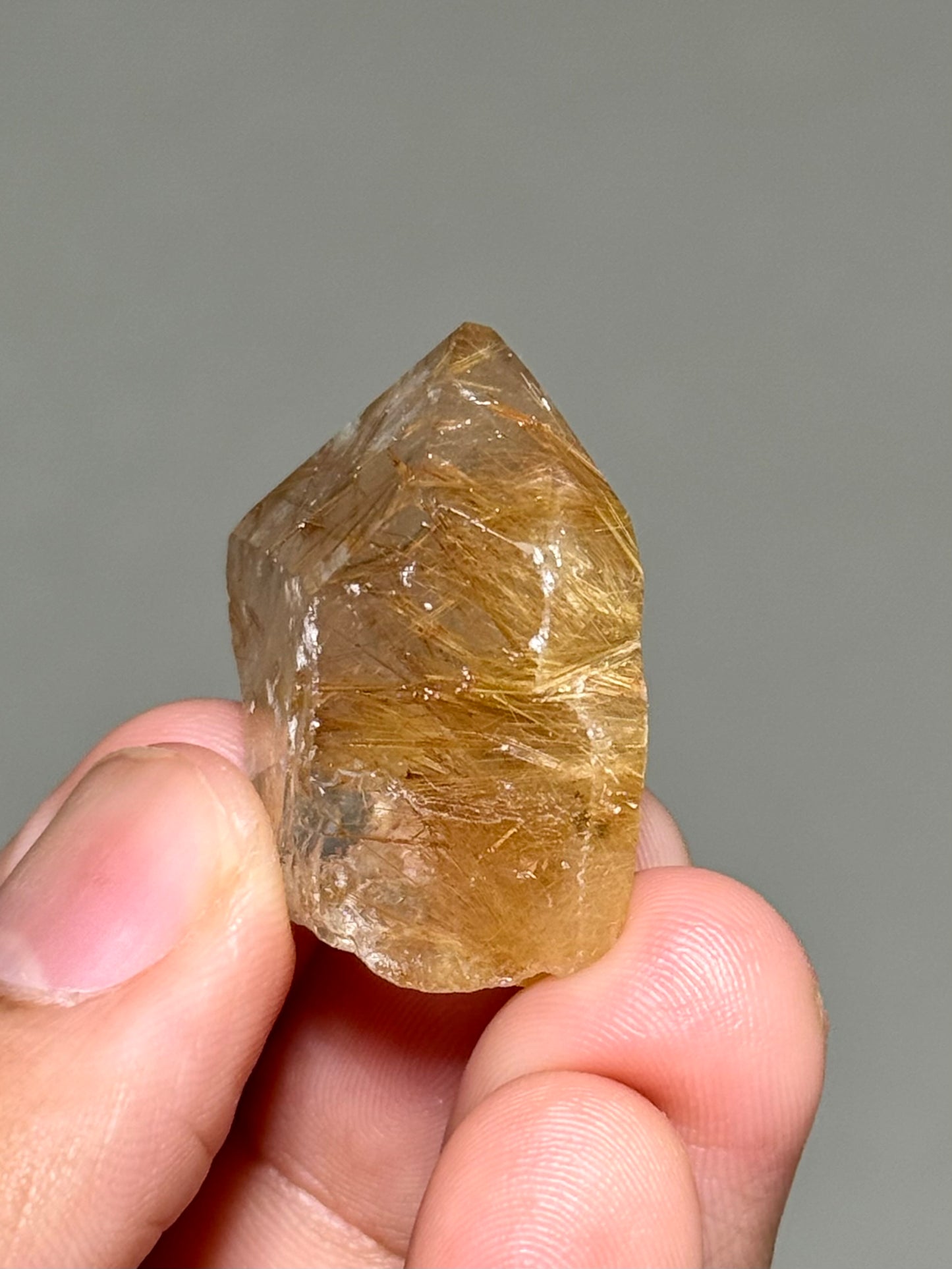 Semi-Polished Himalayan Quartz with Rutile