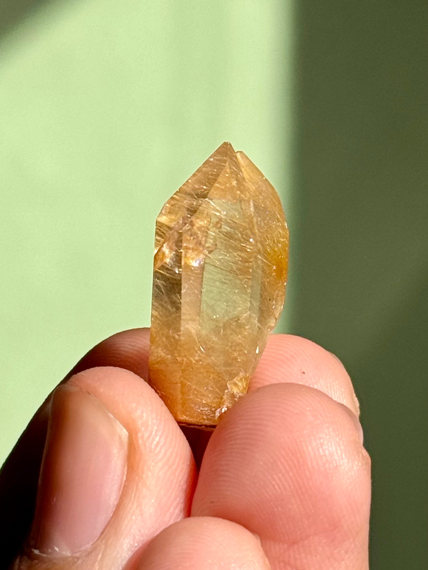 Semi-Polished Himalayan Quartz with Rutile