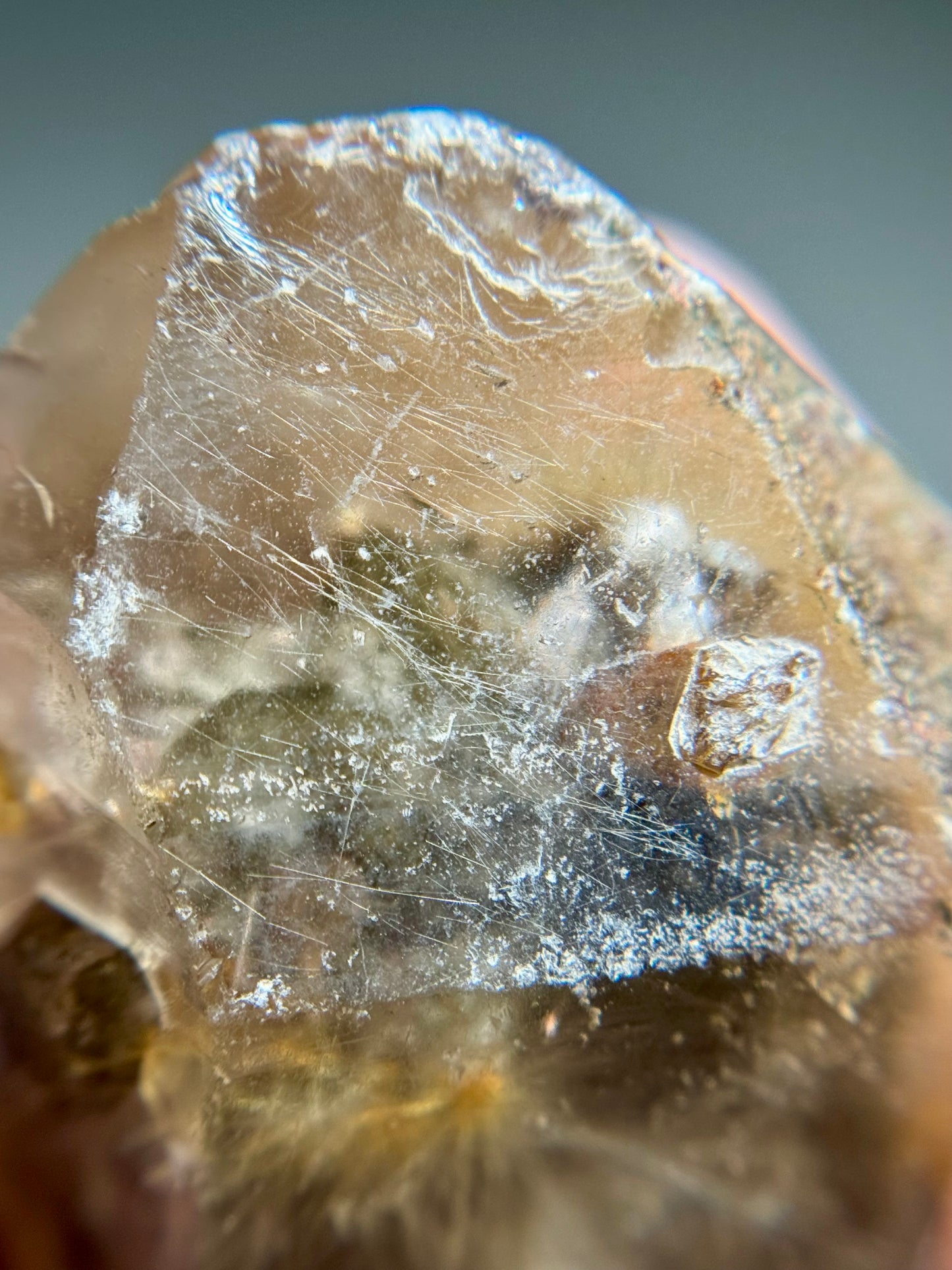 Dandelion Rutile in Quartz