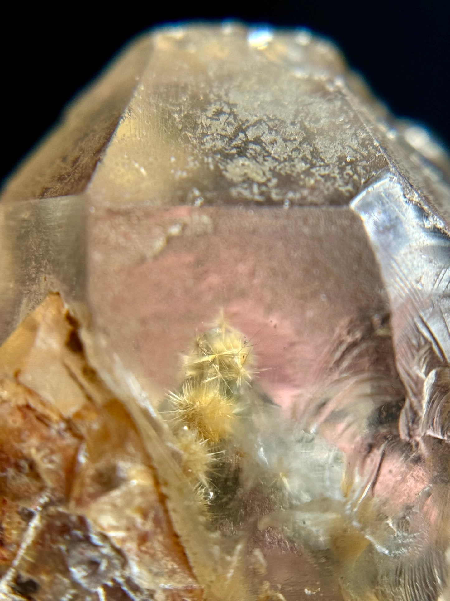Dandelion Rutile in Quartz