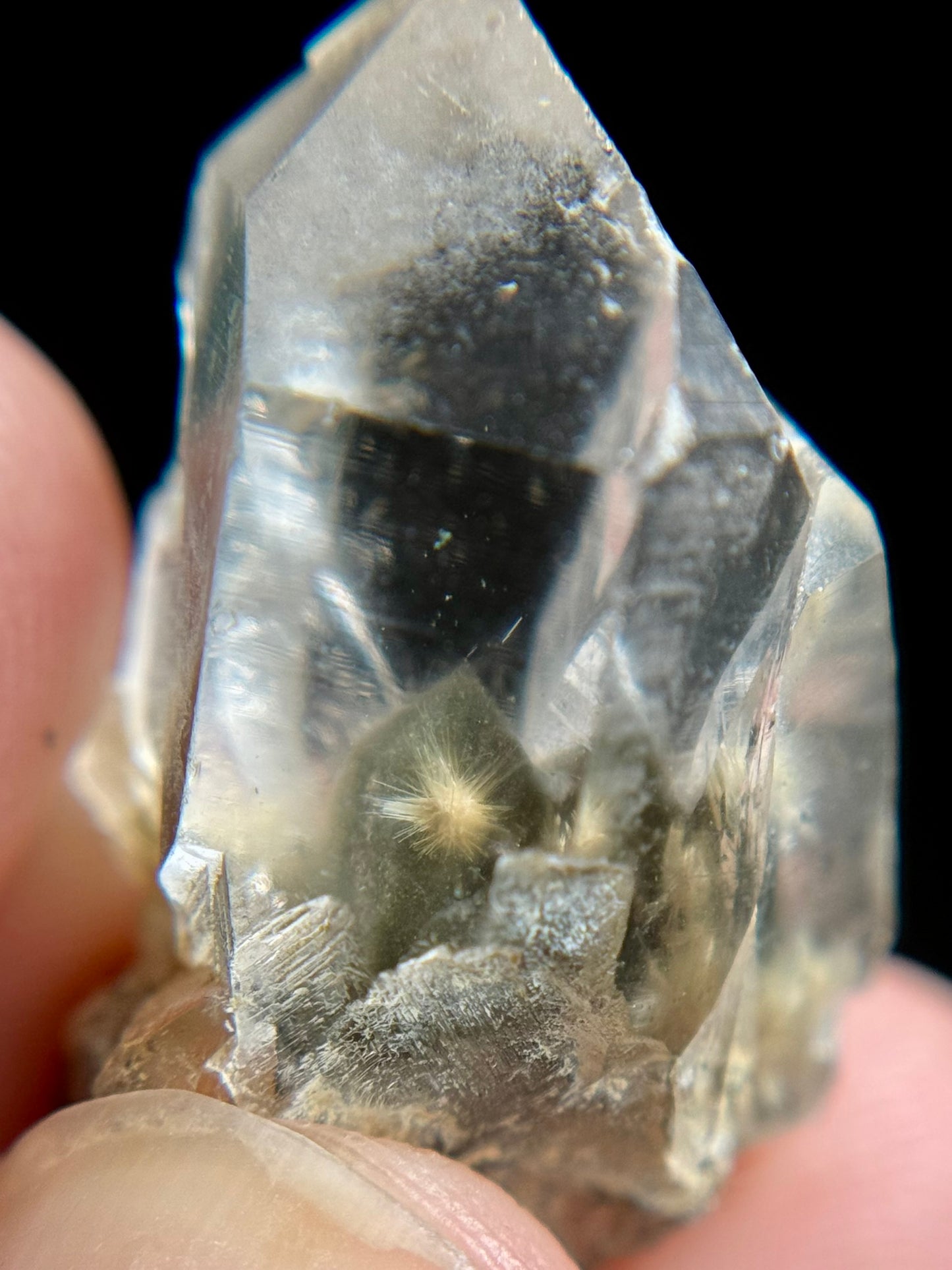 Dandelion Rutile in Quartz