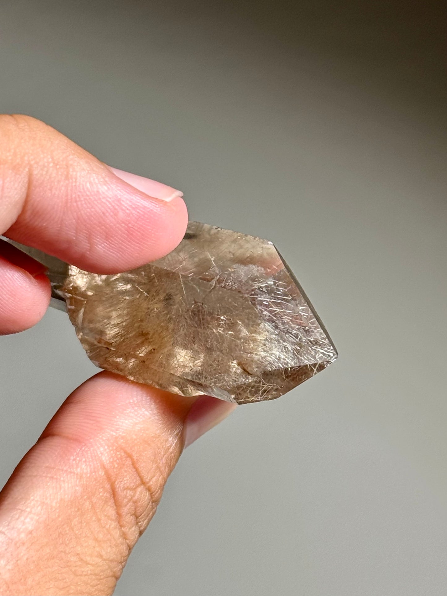Smoky Quartz with Rutile (DT)