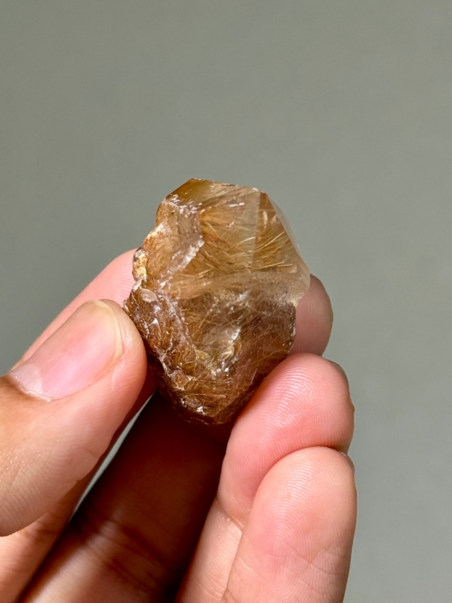 Semi-Polished Himalayan Quartz with Rutile