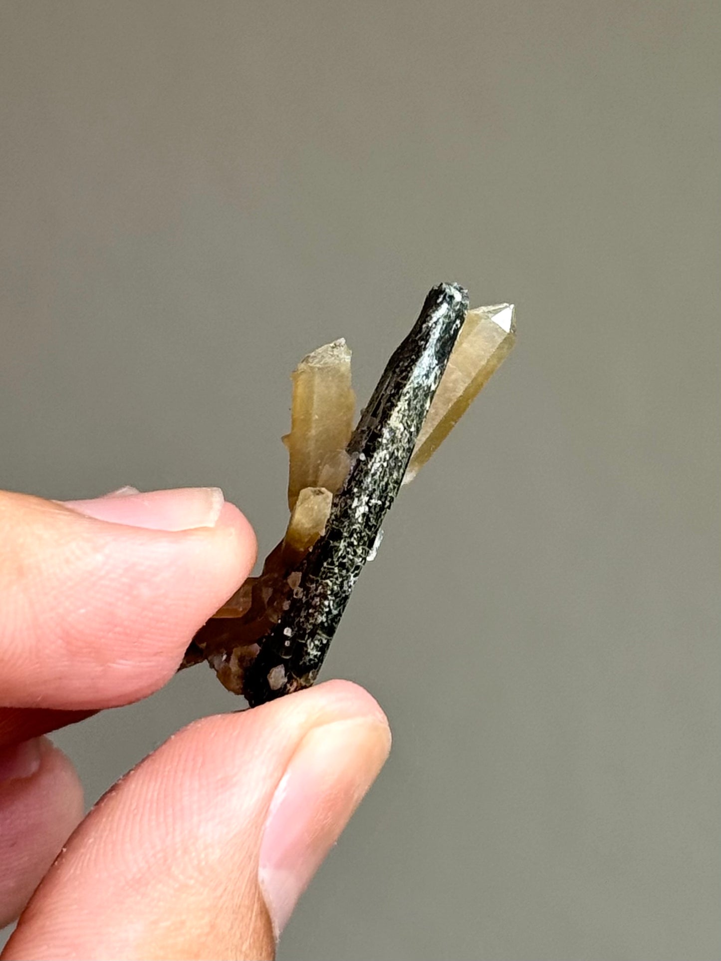 Hedenbergite & Quartz