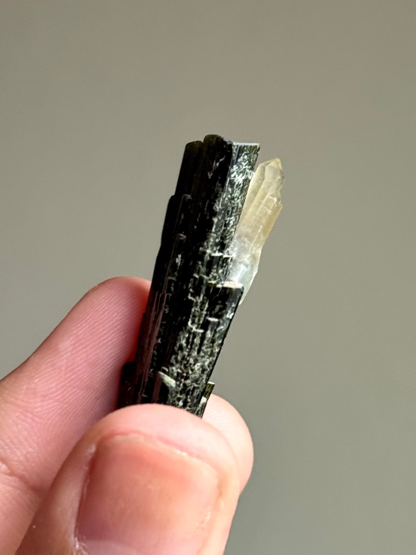 Hedenbergite & Quartz