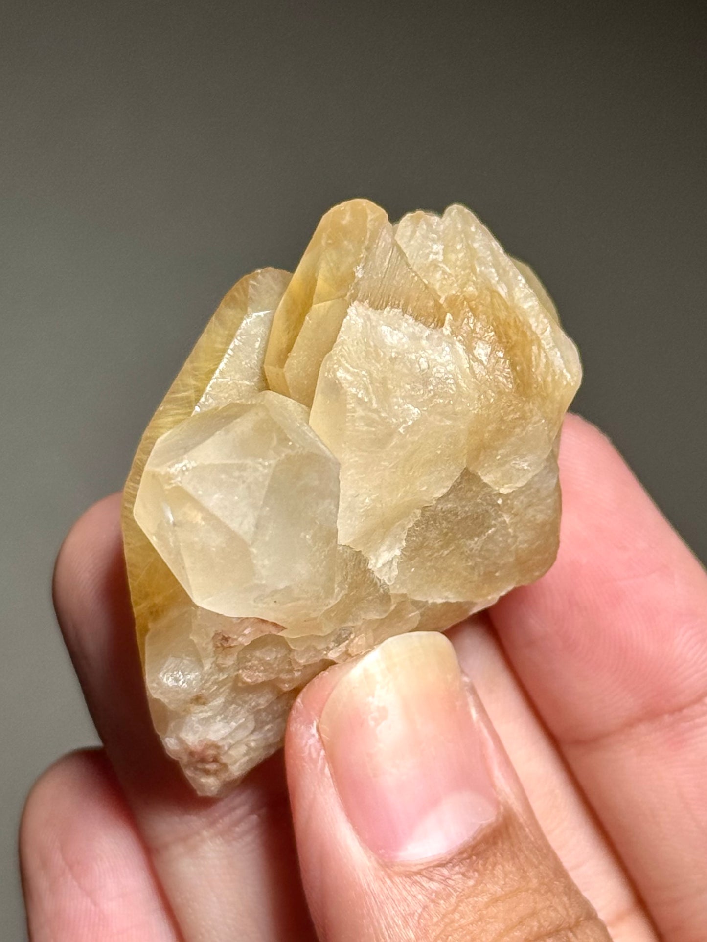 Rutile in Quartz
