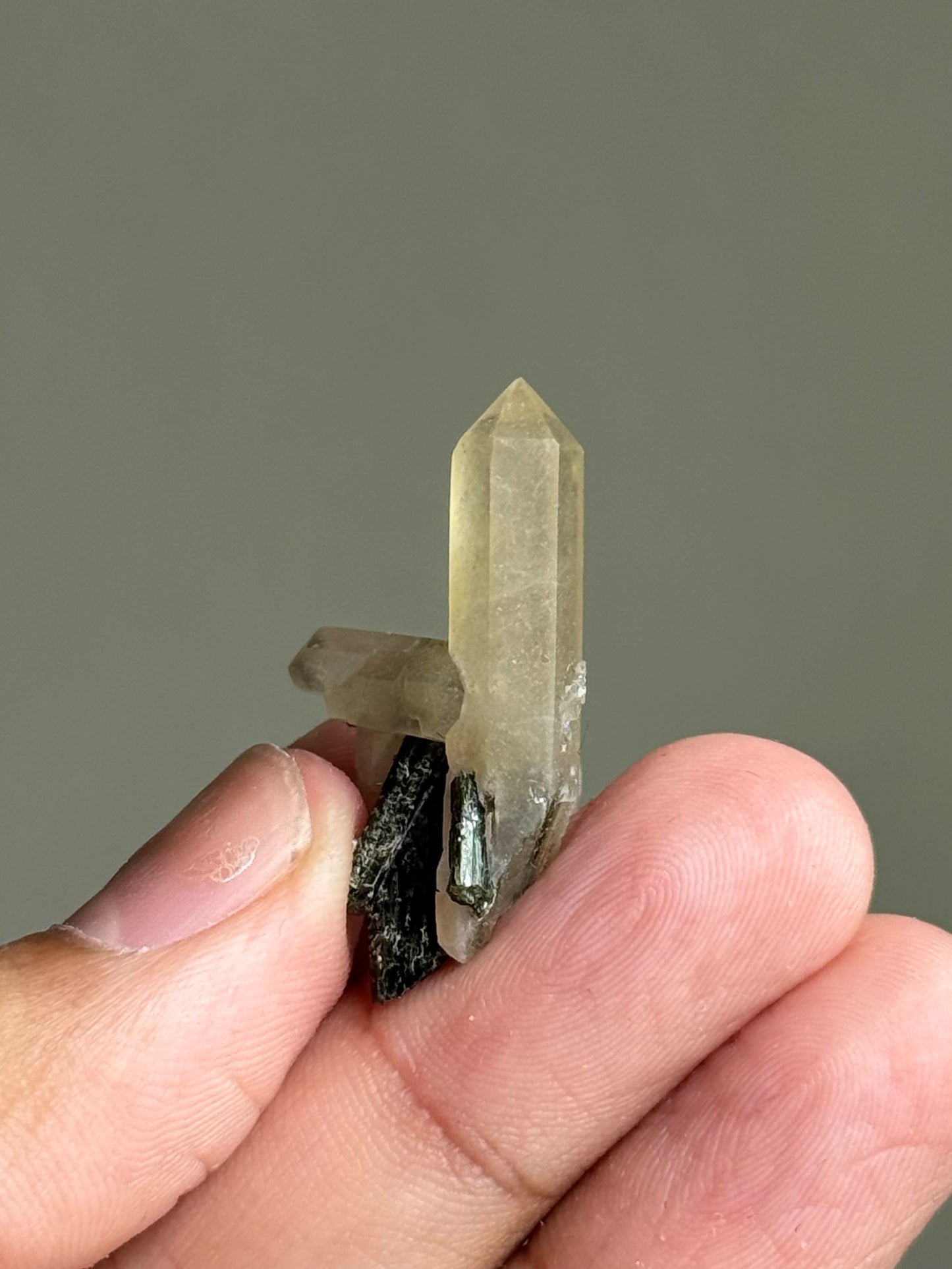 Quartz & Hedenbergite