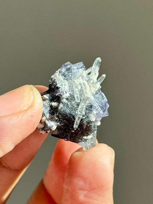 Fluorite & Quartz