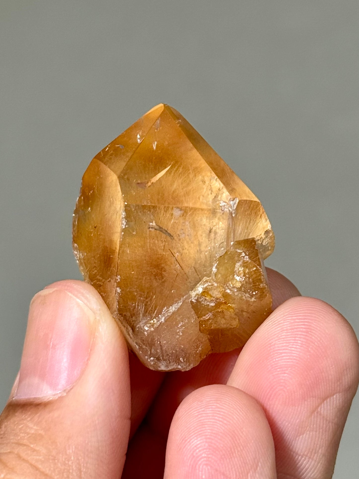 Semi-Polished Himalayan Quartz with Rutile