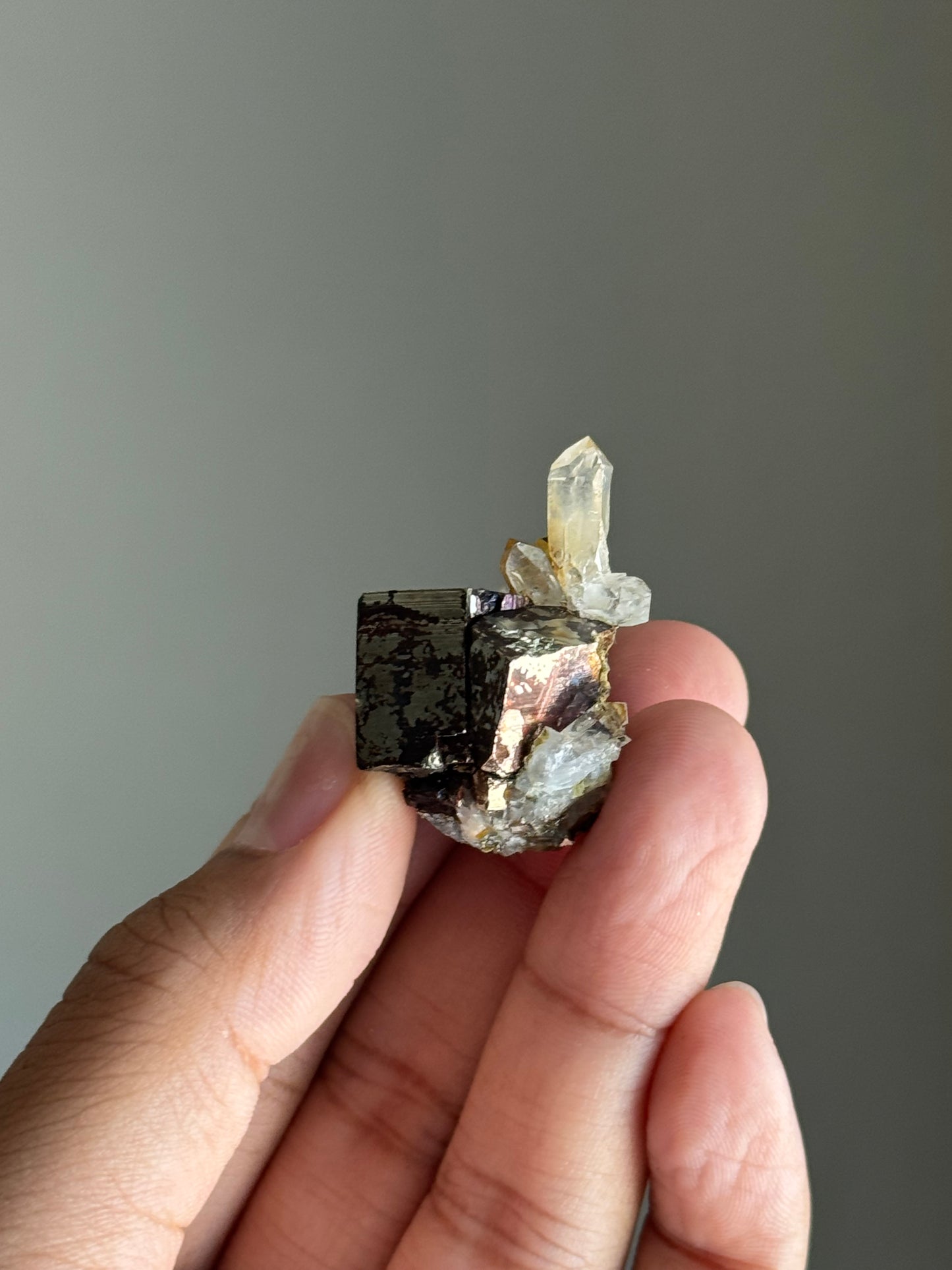 Quartz & Pyrite