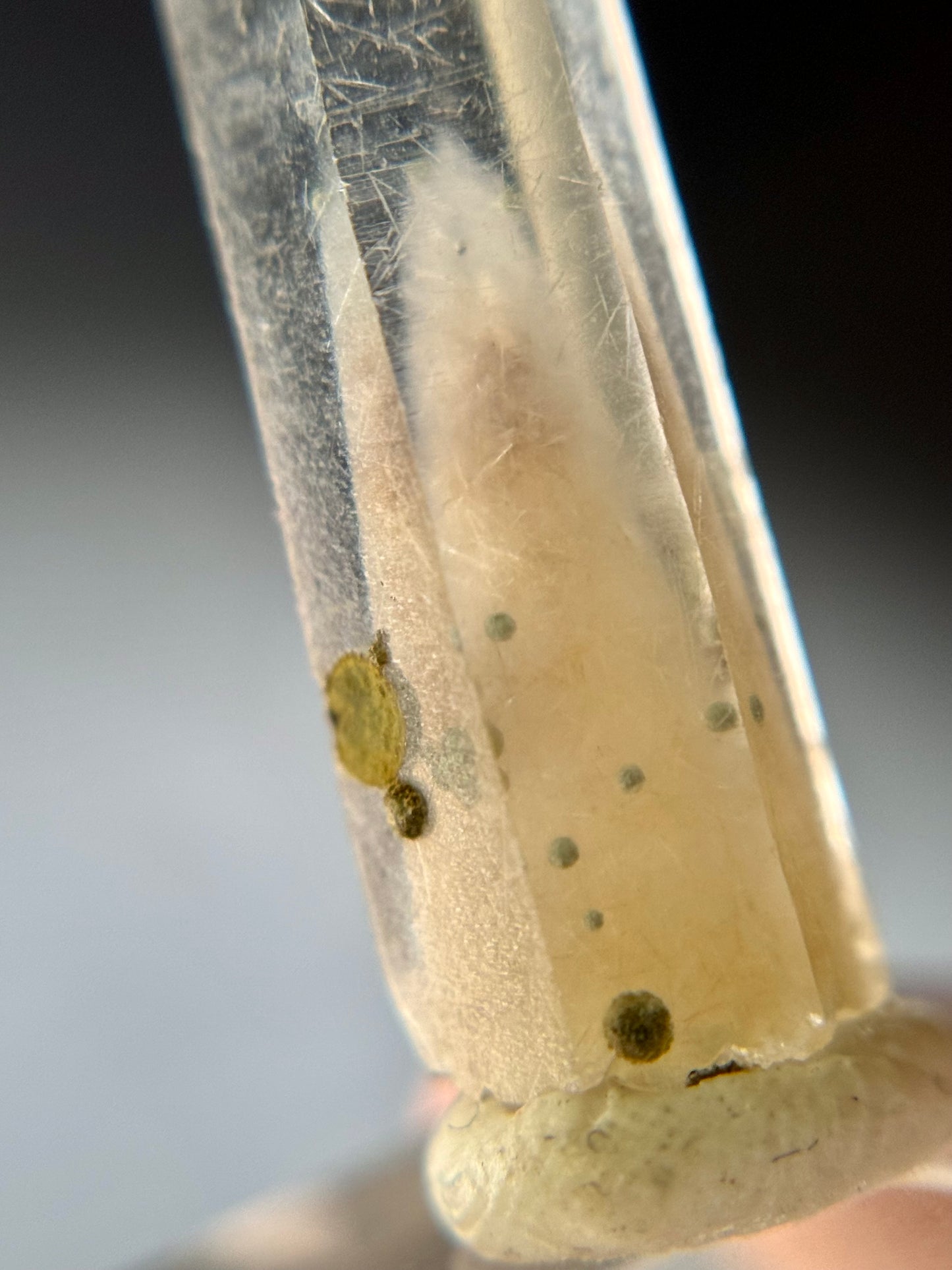 Cookite & Tremolite in Quartz