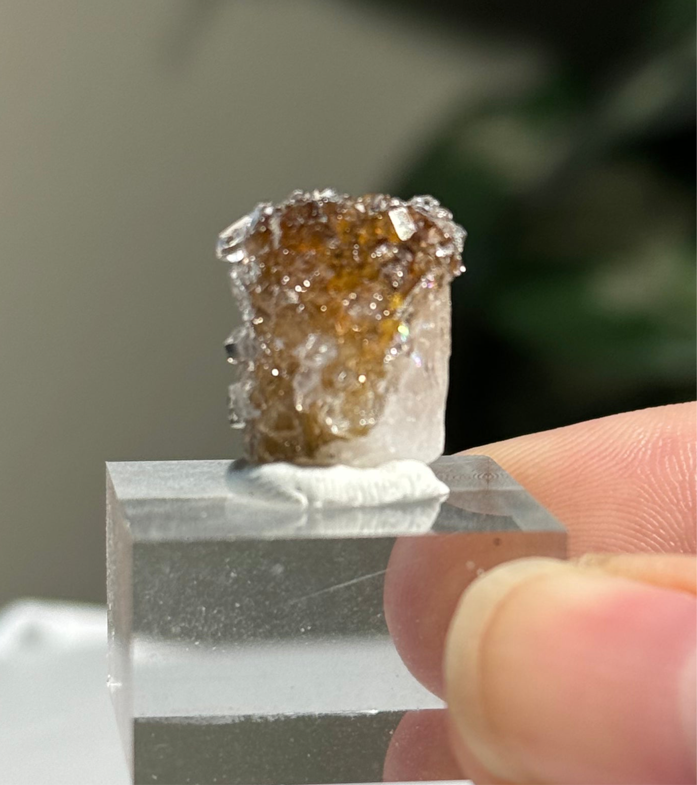 Danburite with Quartz