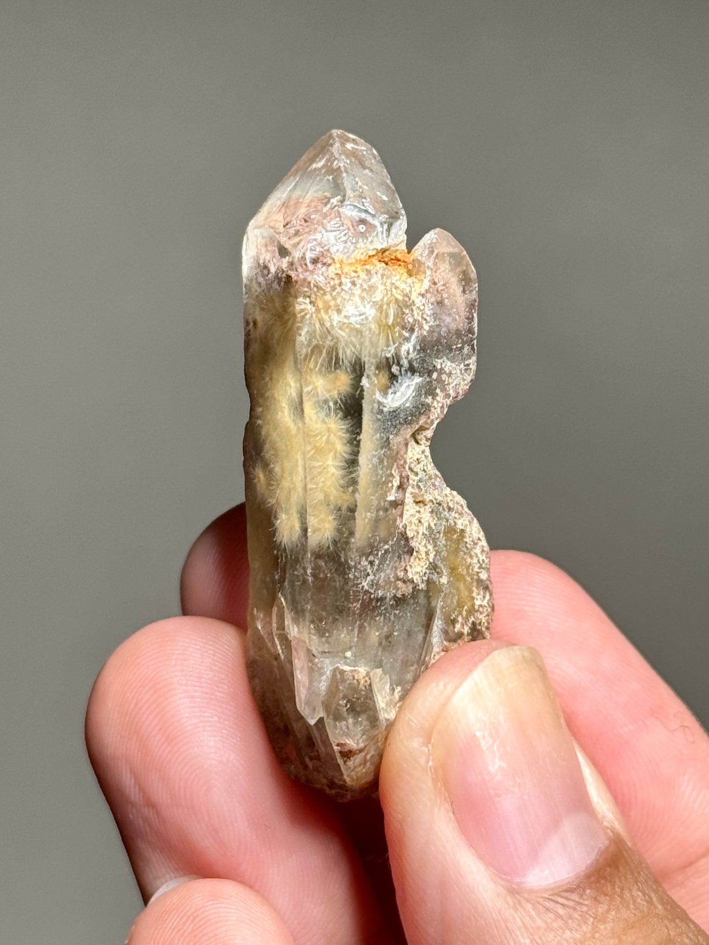 Dandelion Rutile in Quartz