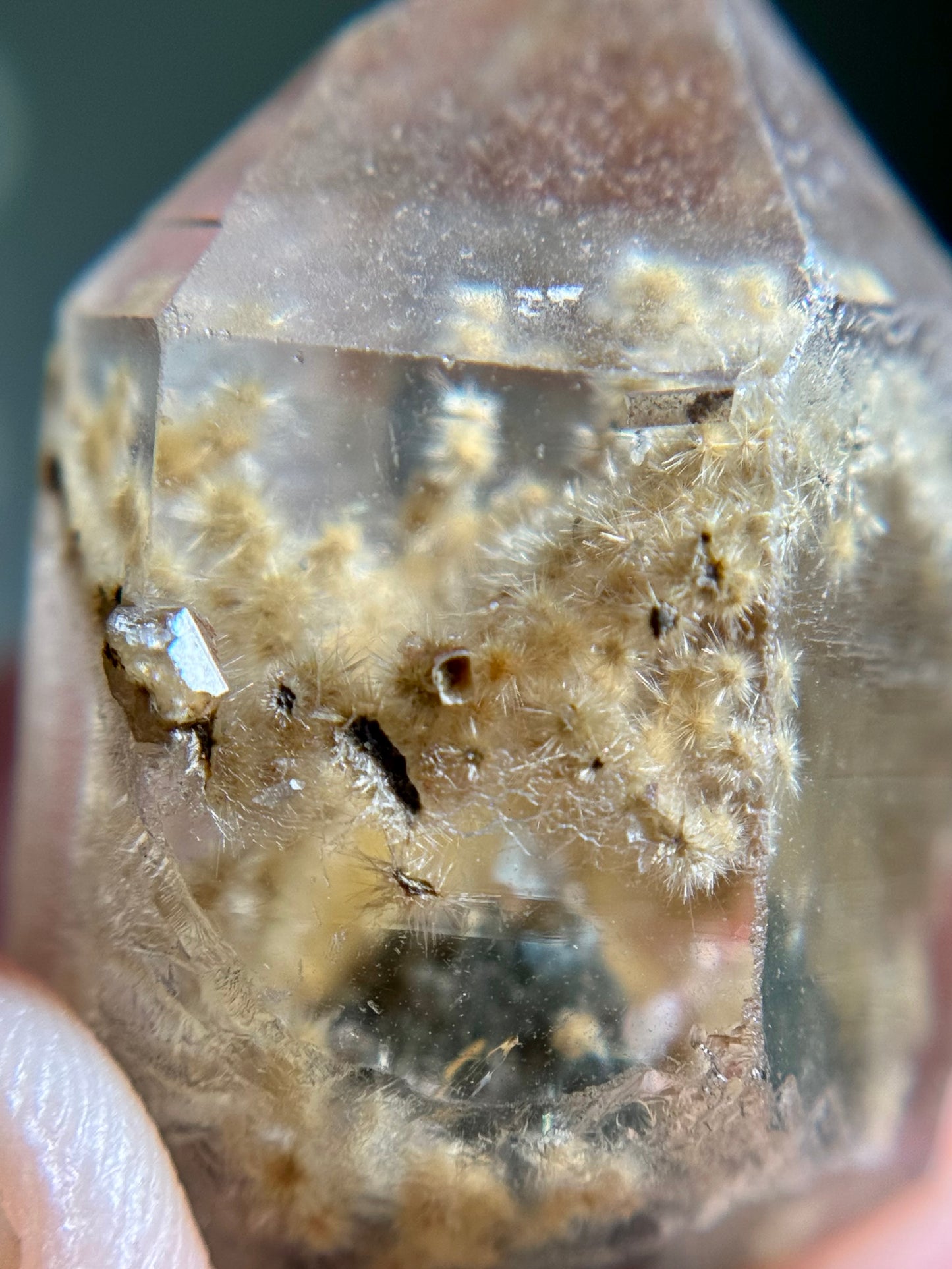Dandelion Rutile in Quartz