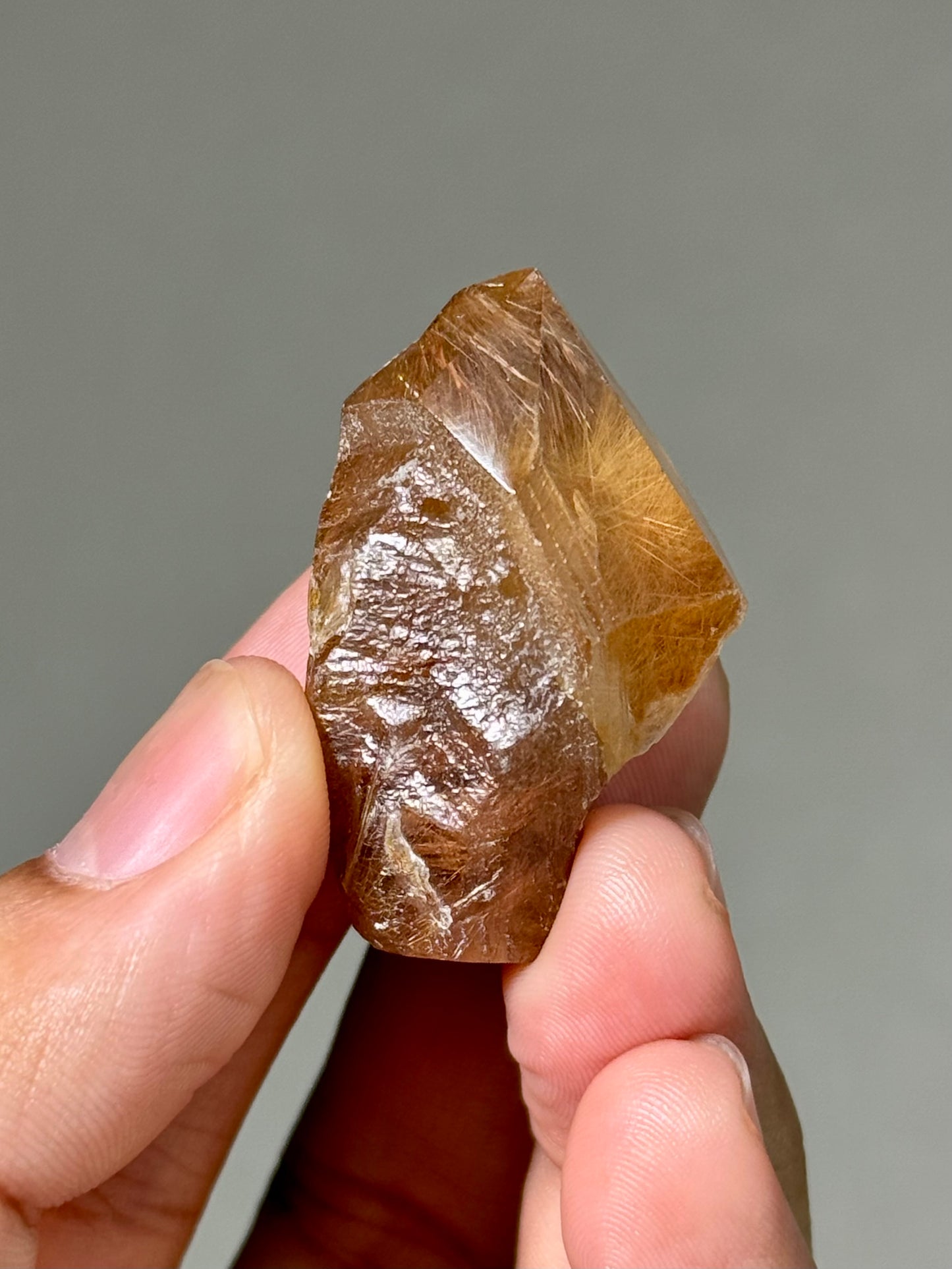 Semi-Polished Himalayan Quartz with Rutile