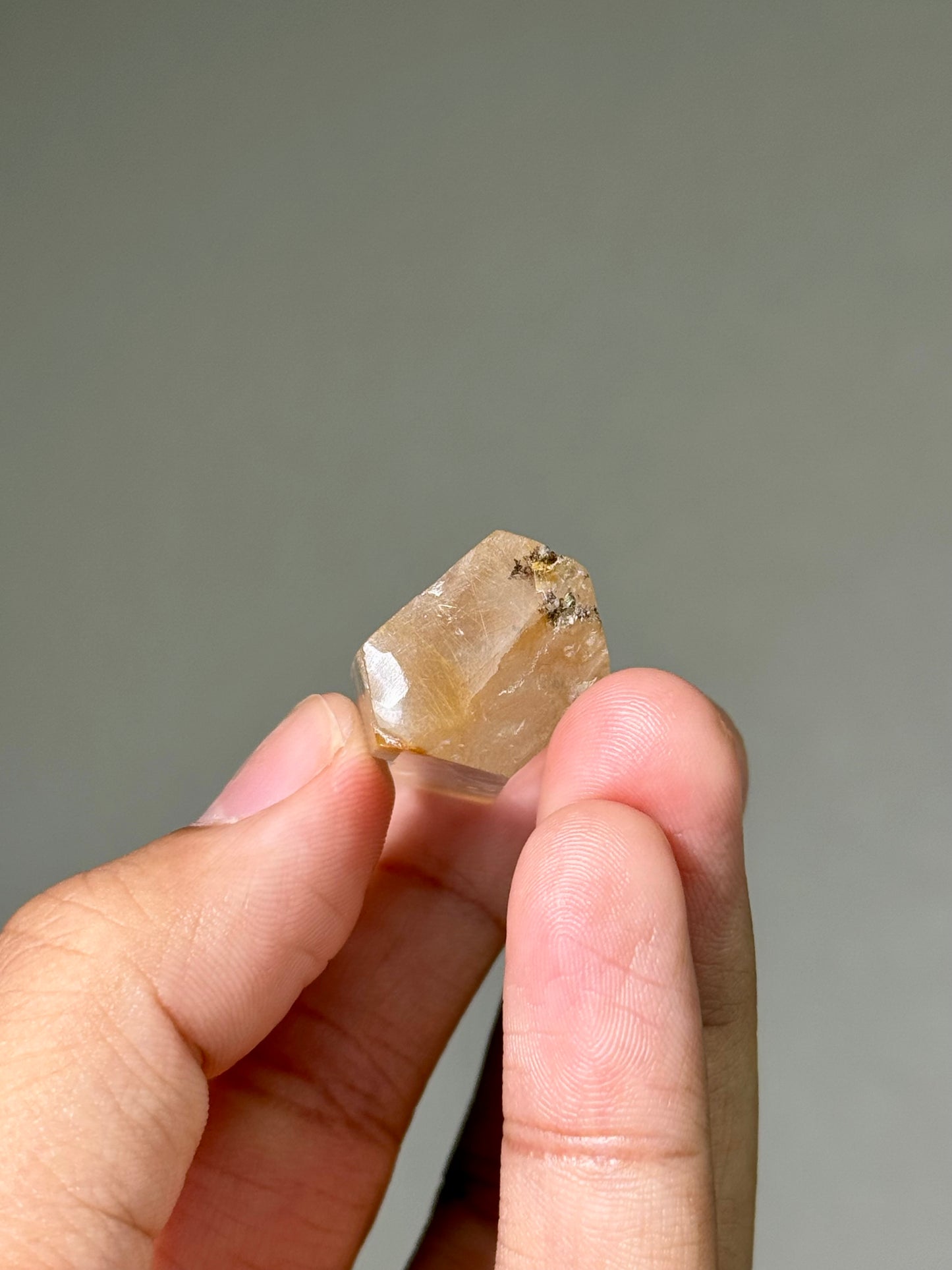 Semi-Polished Himalayan Quartz with Rutile