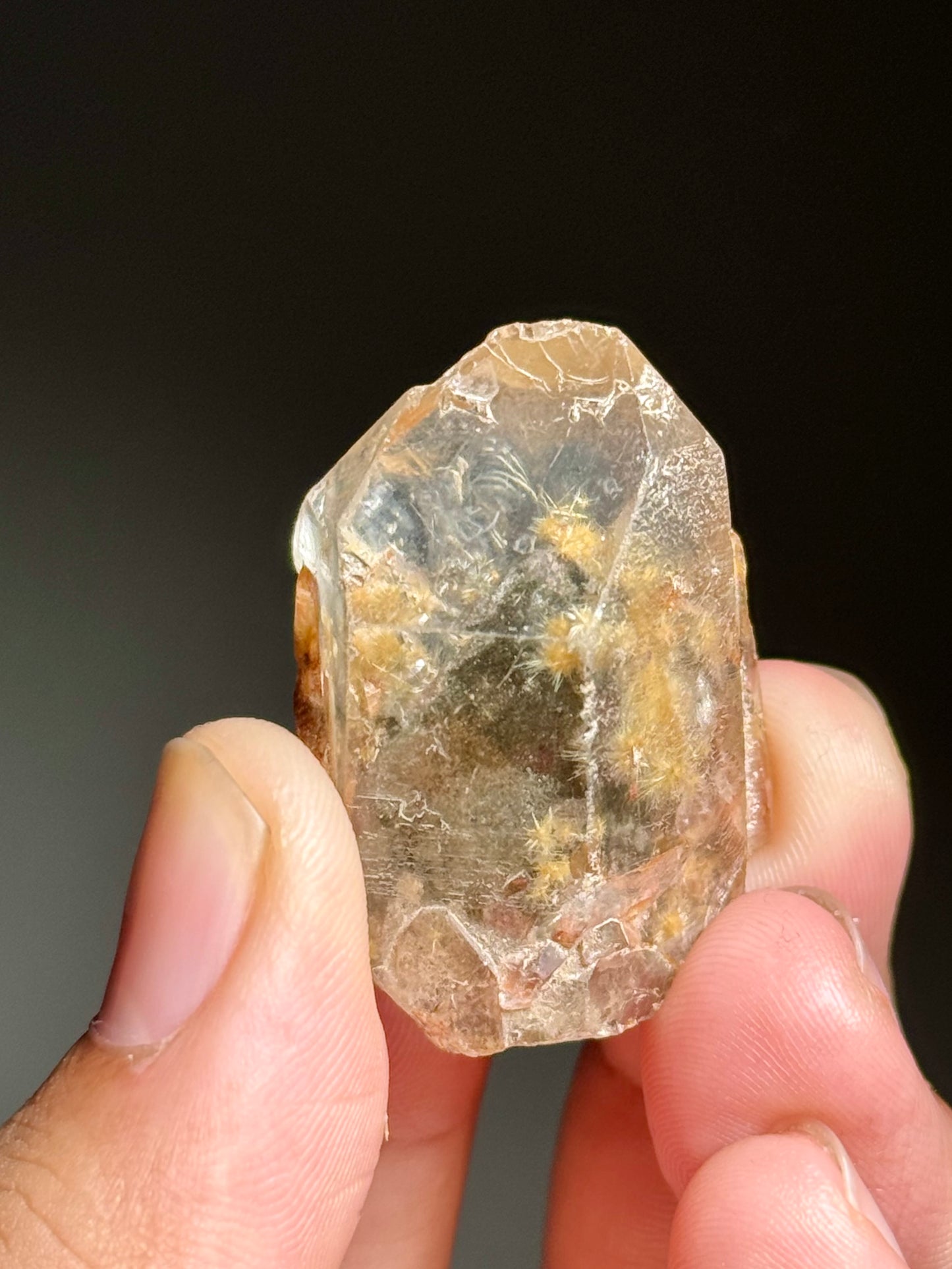 Dandelion Rutile in Quartz