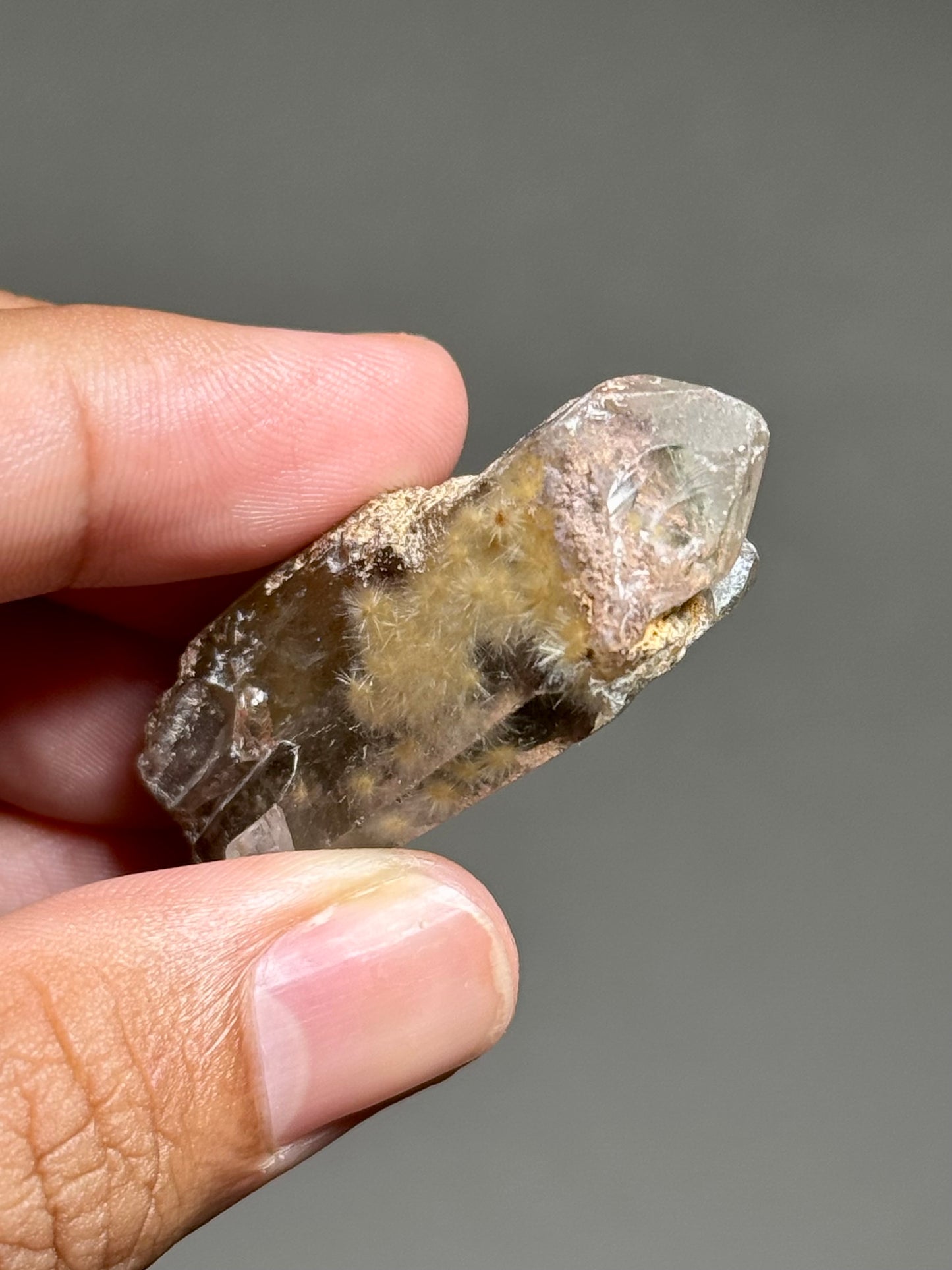 Dandelion Rutile in Quartz