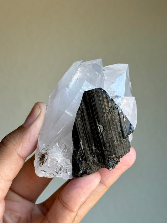 Quartz & Ferberite