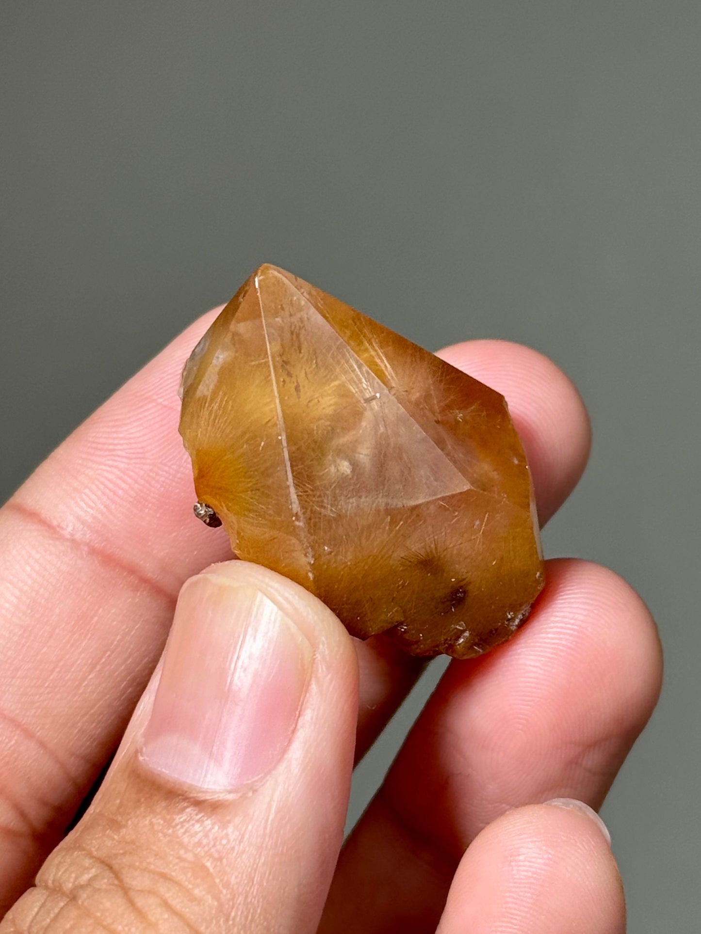 Semi-Polished Himalayan Quartz with Rutile