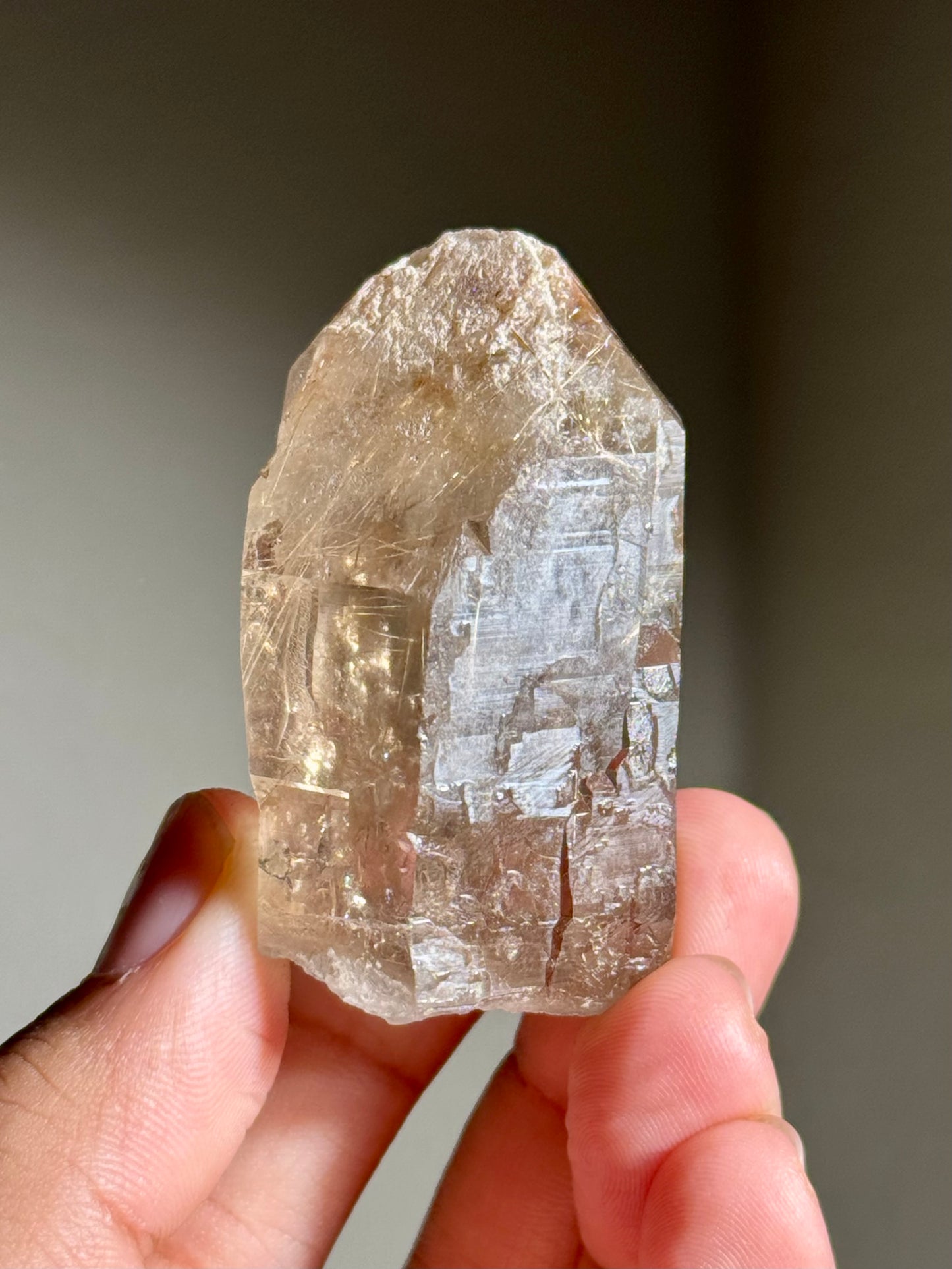 Smoky Quartz with Rutile