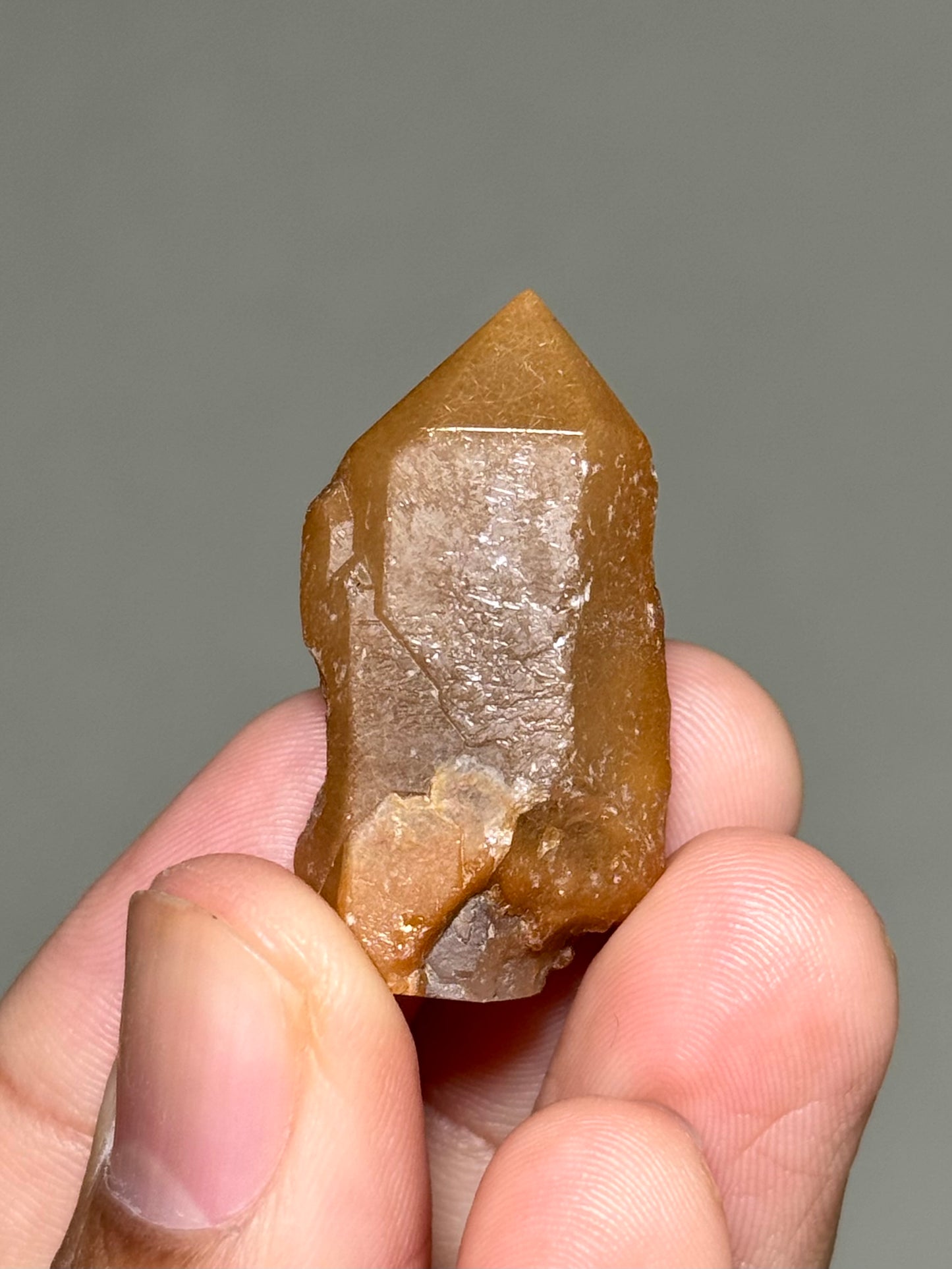 Semi-Polished Himalayan Quartz with Rutile