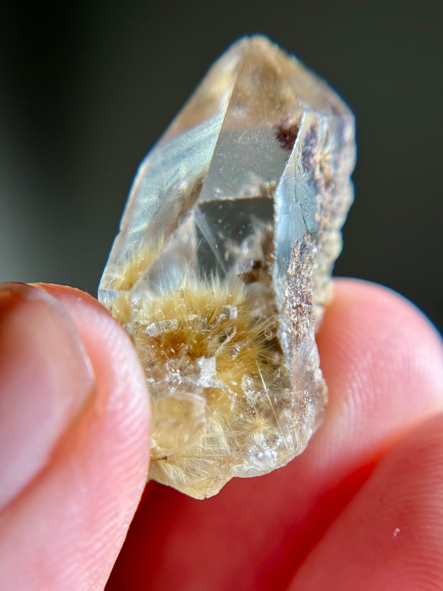 Dandelion Rutile in Quartz
