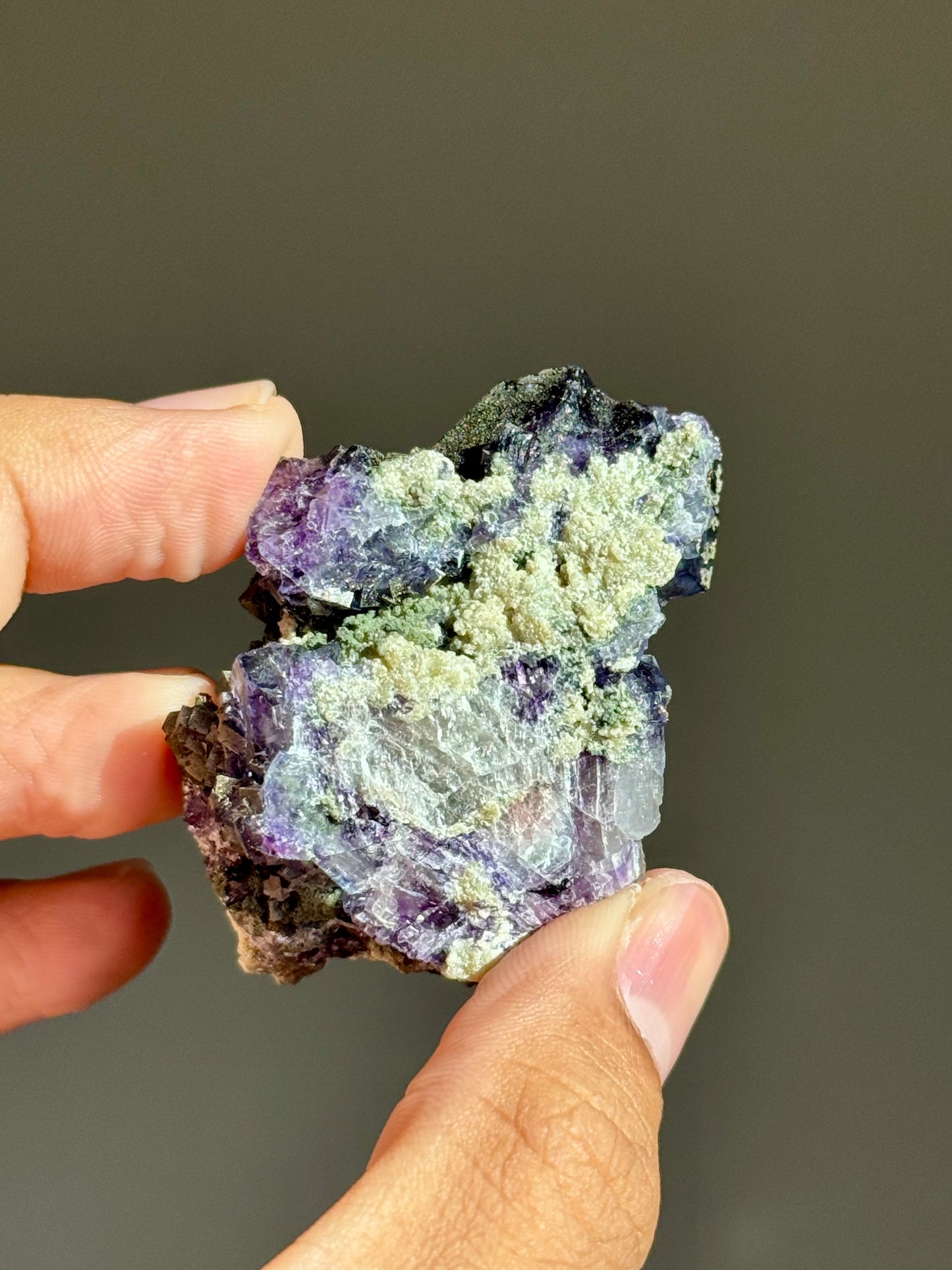 Fluorite & Pyrite