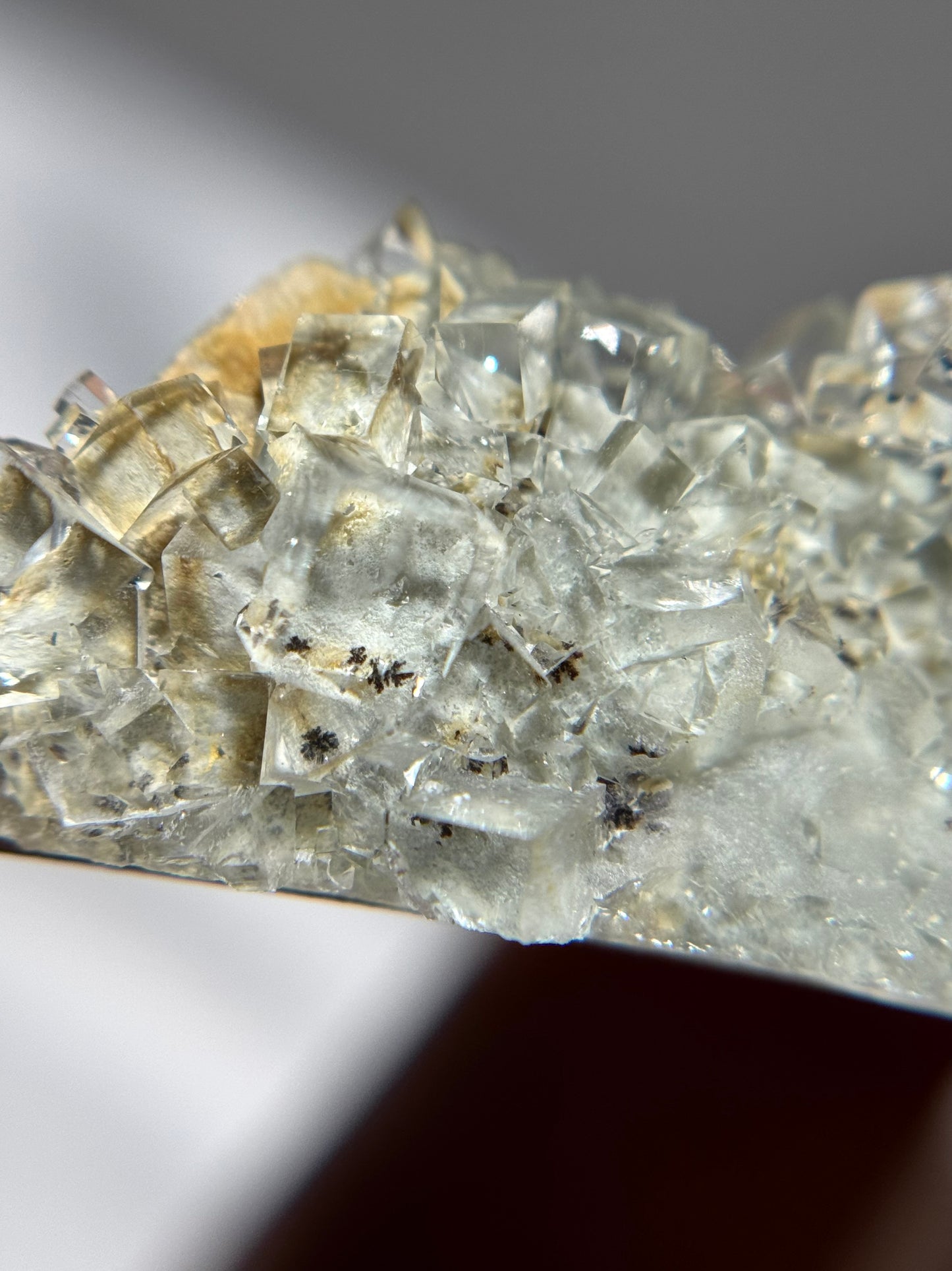 Fluorite w/Dendrites