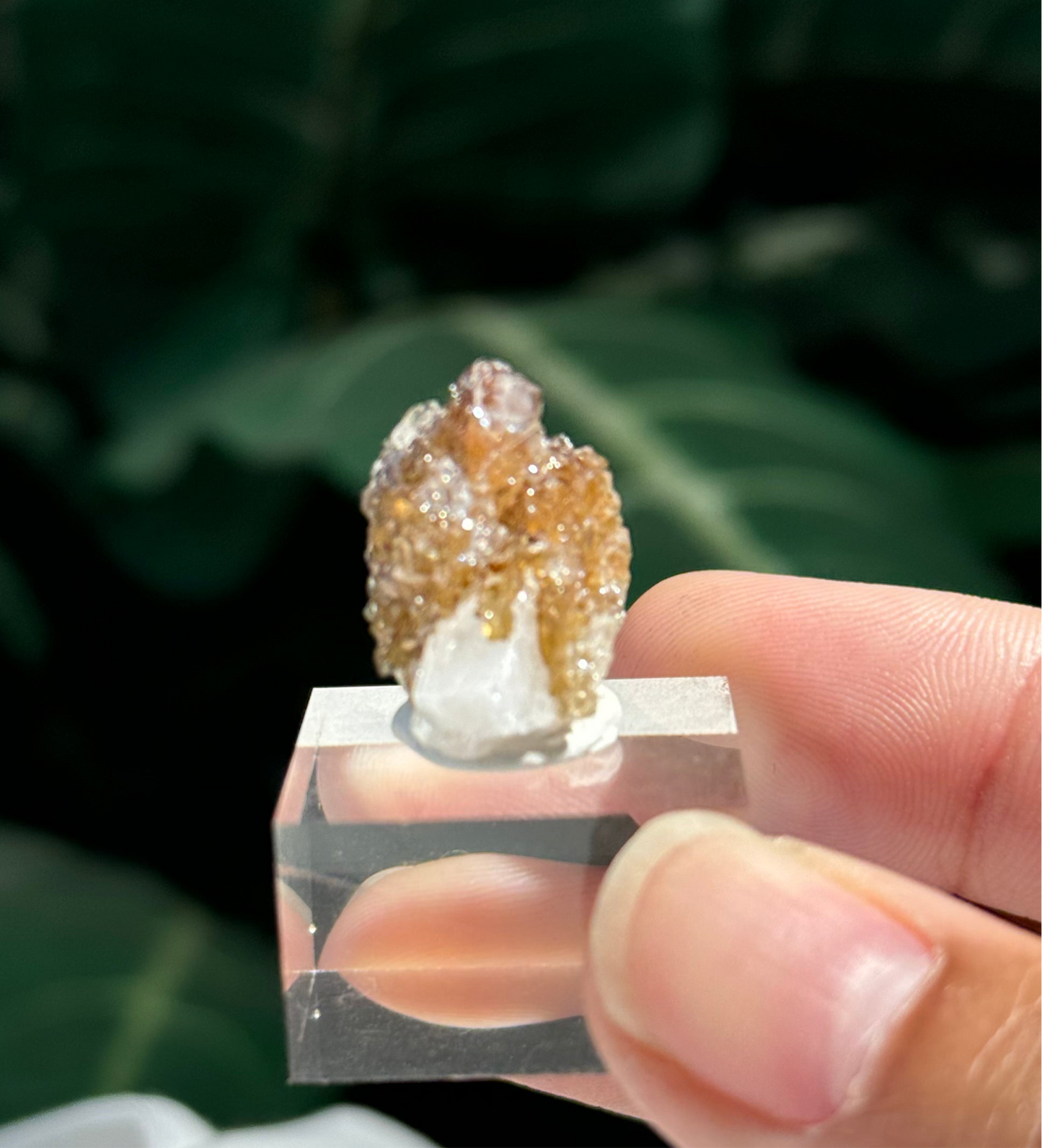 Danburite with Quartz