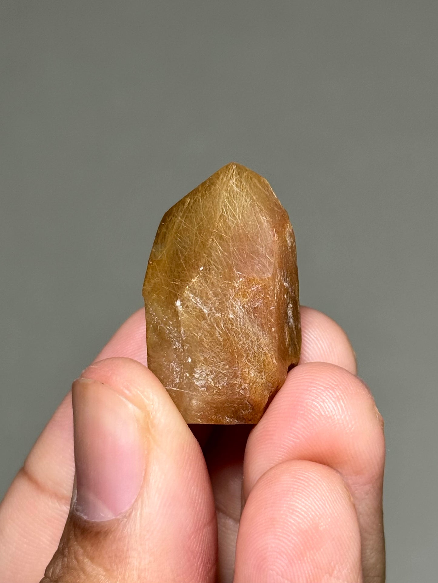 Semi-Polished Himalayan Quartz with Rutile