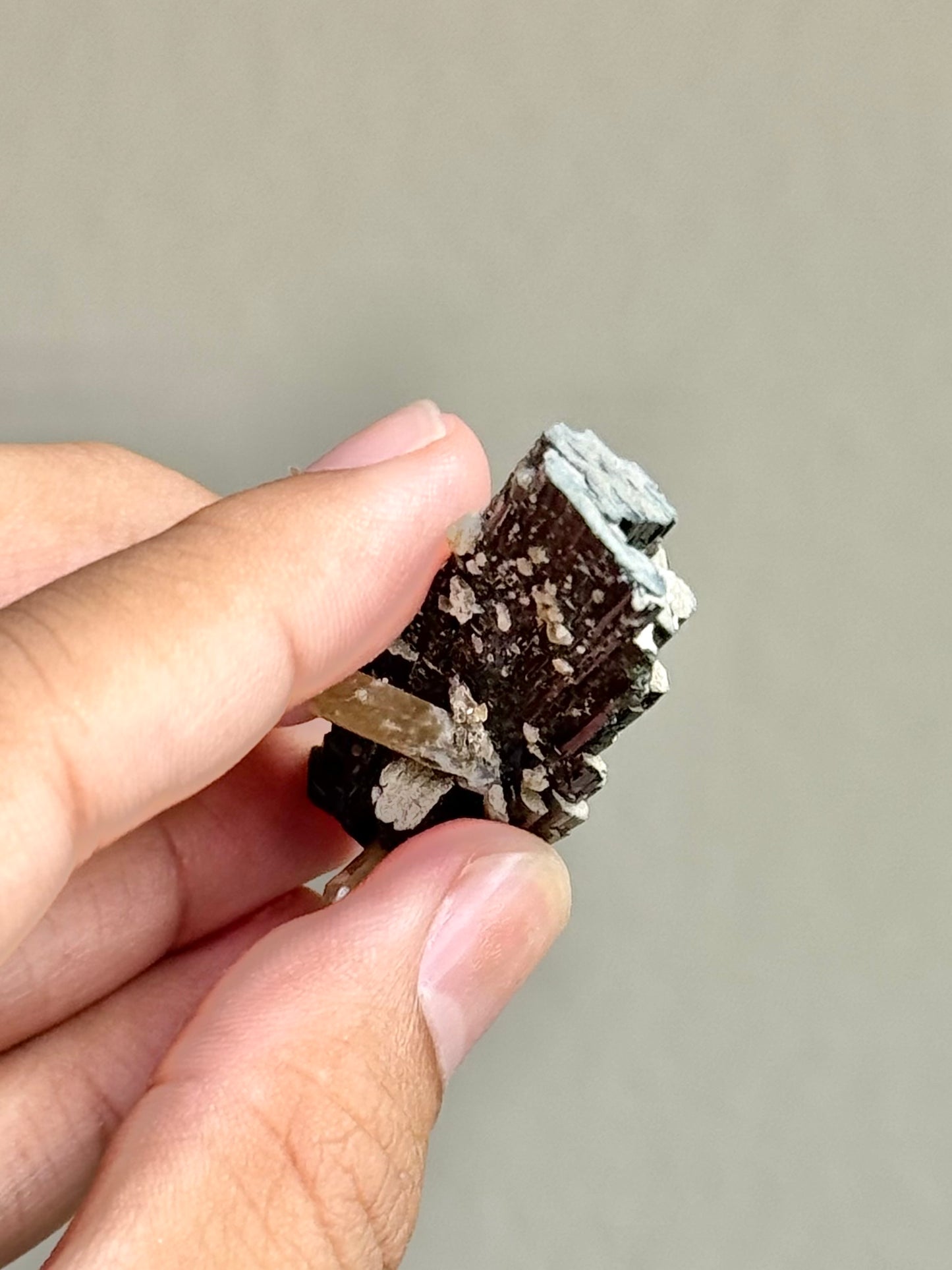 Hedenbergite & Quartz