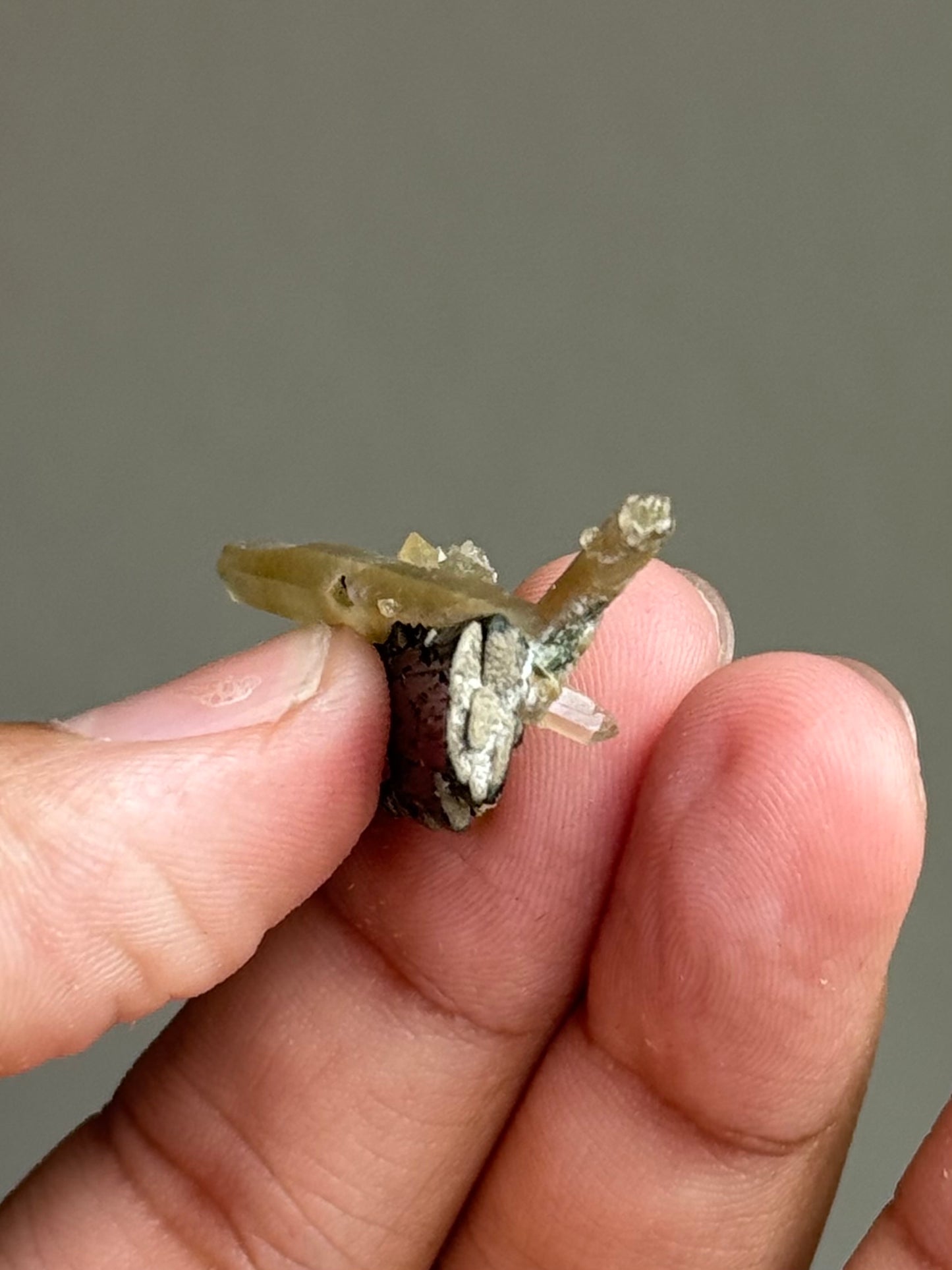 Hedenbergite & Quartz