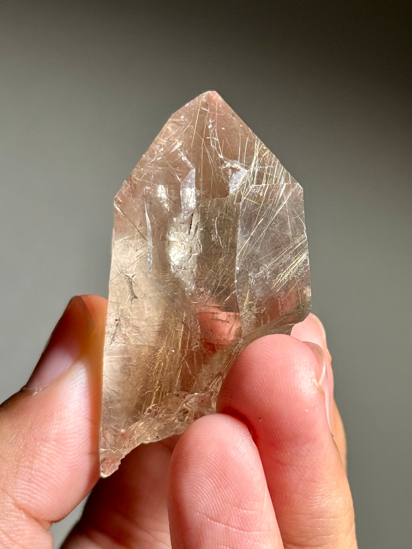 Smoky Quartz with Rutile