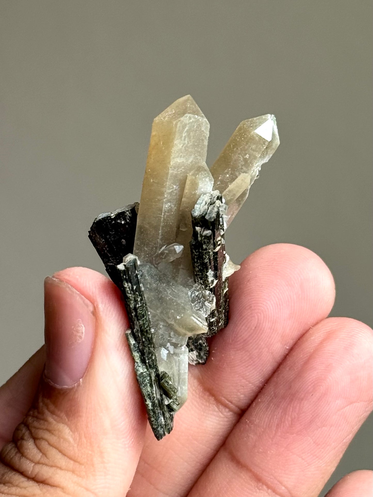Hedenbergite & Quartz