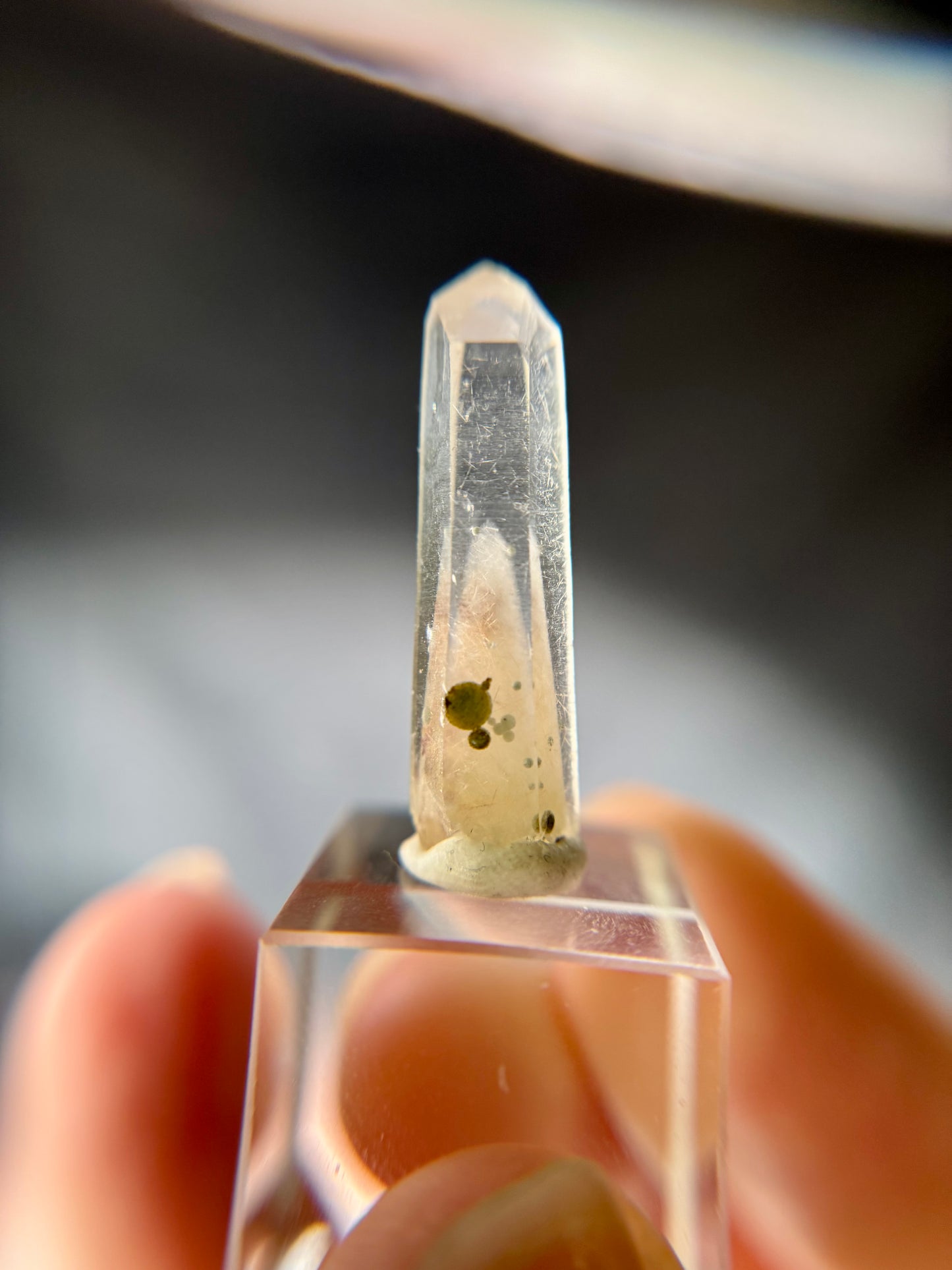 Cookite & Tremolite in Quartz