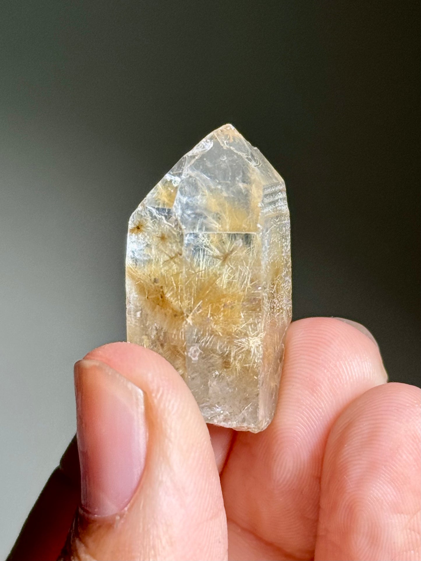 Dandelion Rutile in Quartz