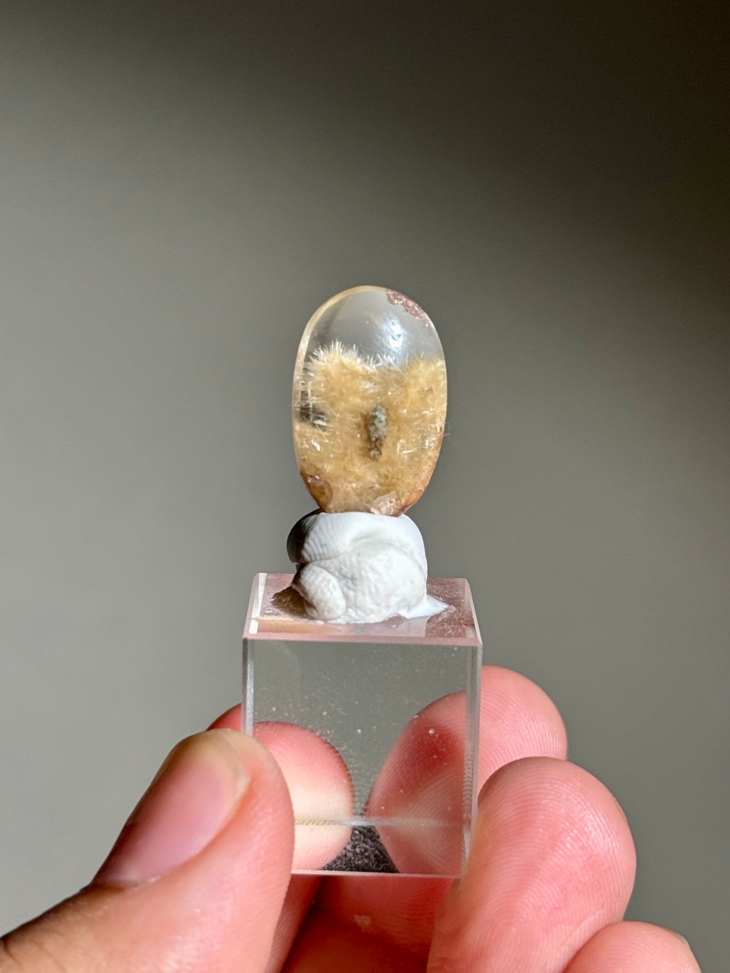Dandelion Rutile in Quartz (Polished)