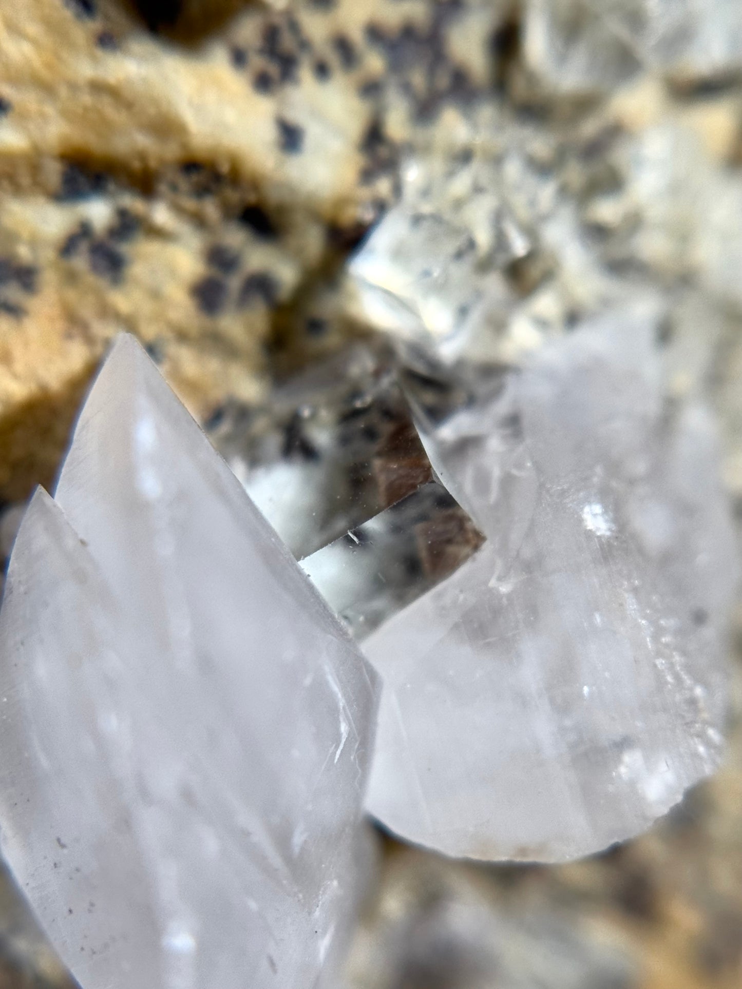 Fluorite & Calcite w/Dendrites