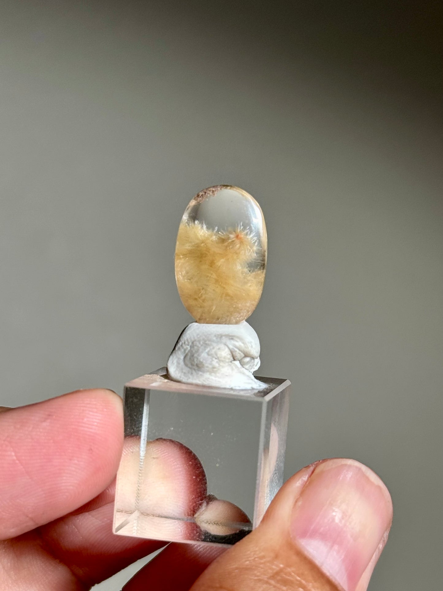 Dandelion Rutile in Quartz (Polished)