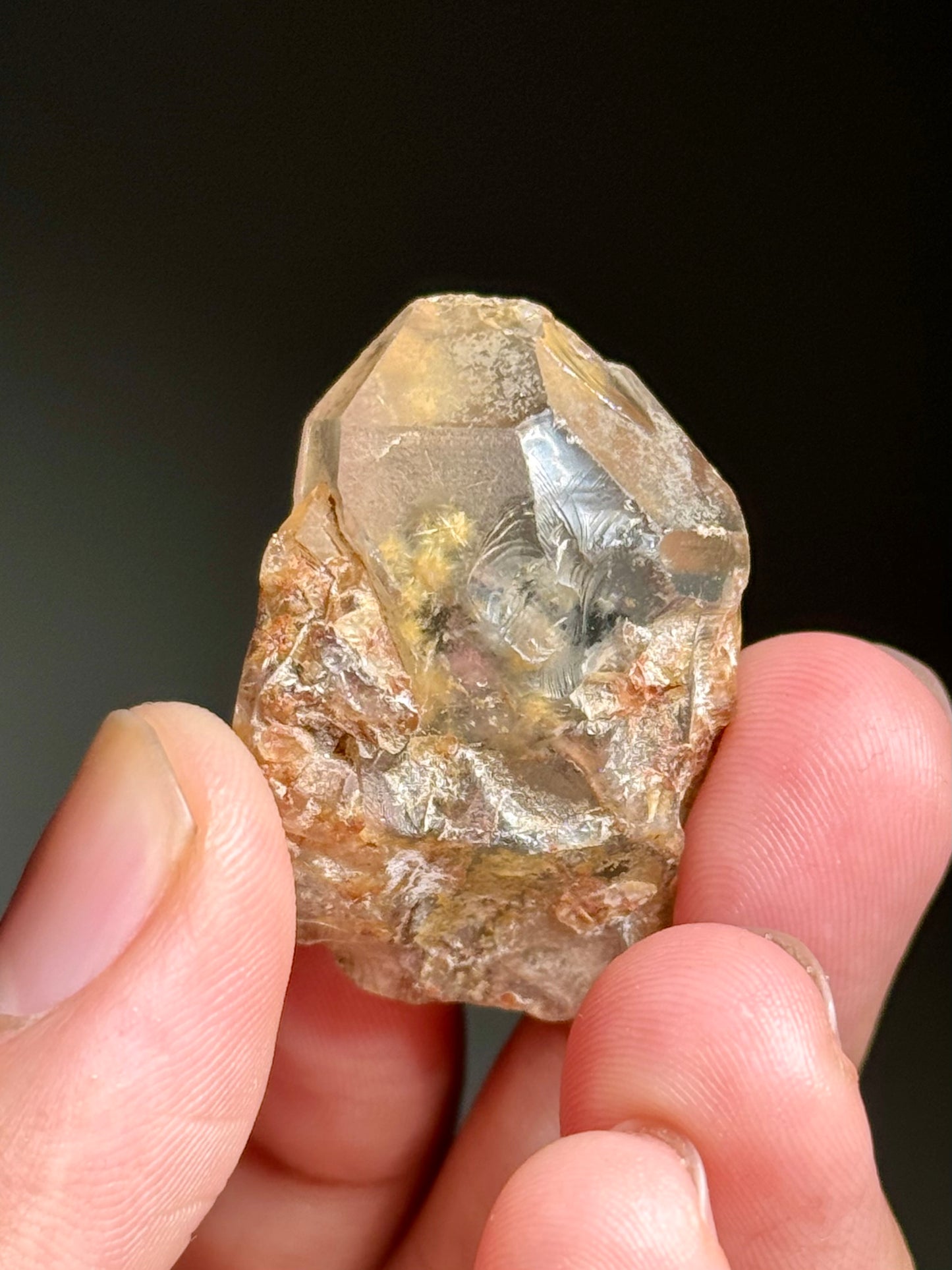 Dandelion Rutile in Quartz