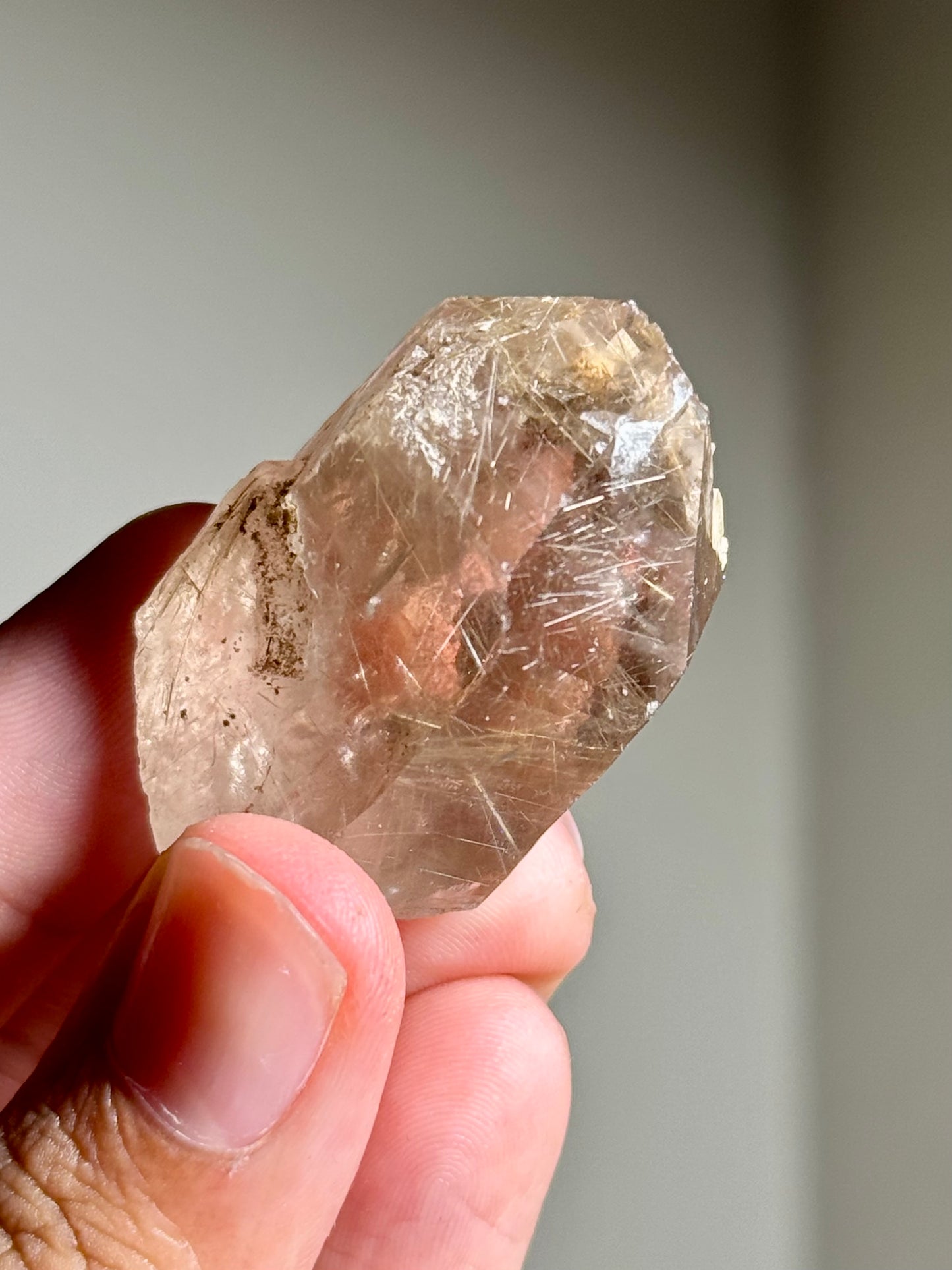 Smoky Quartz with Rutile