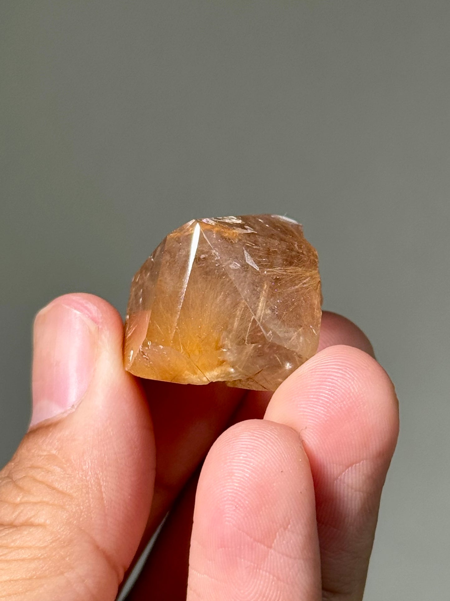Semi-Polished Himalayan Quartz with Rutile