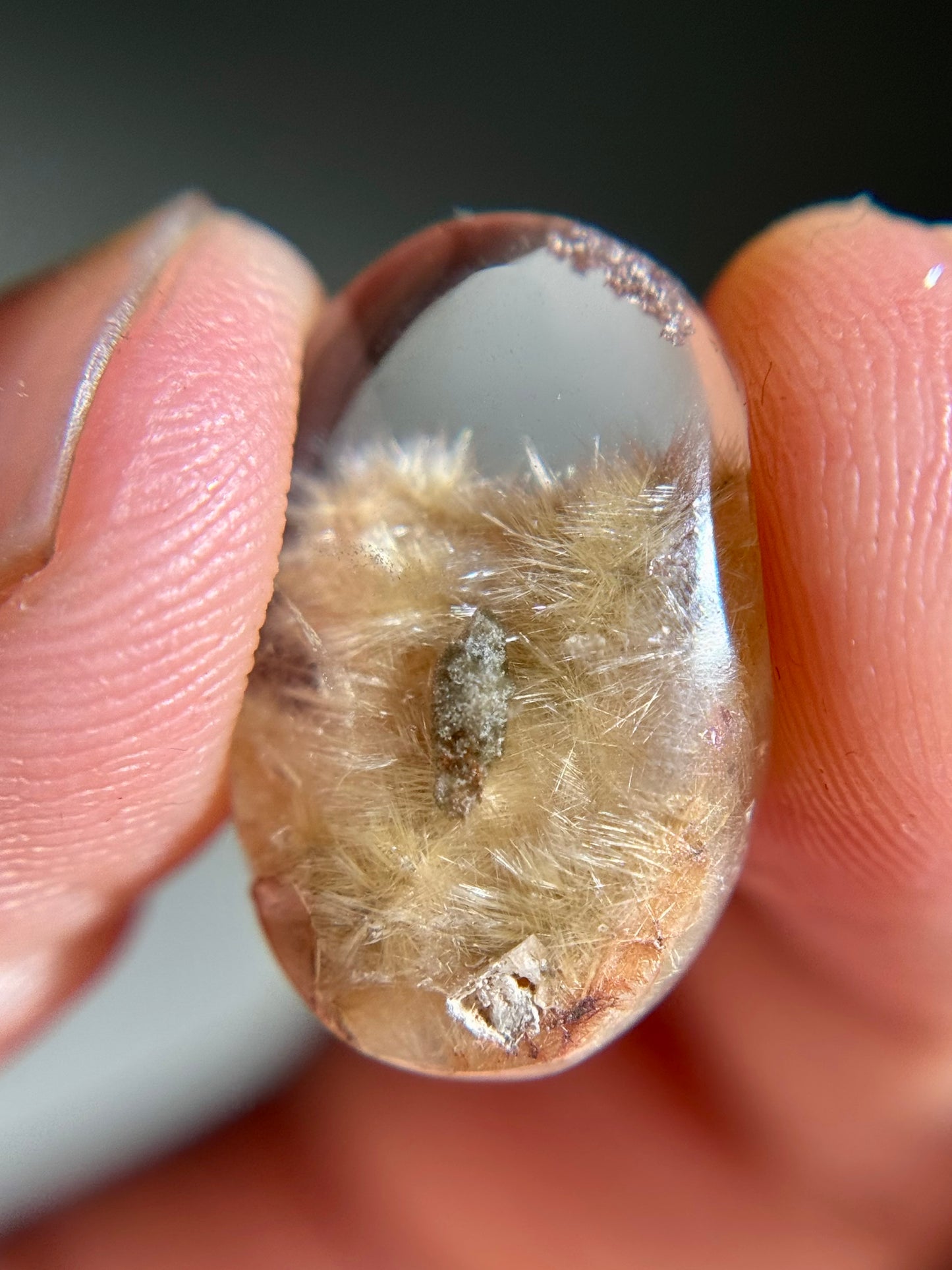 Dandelion Rutile in Quartz (Polished)